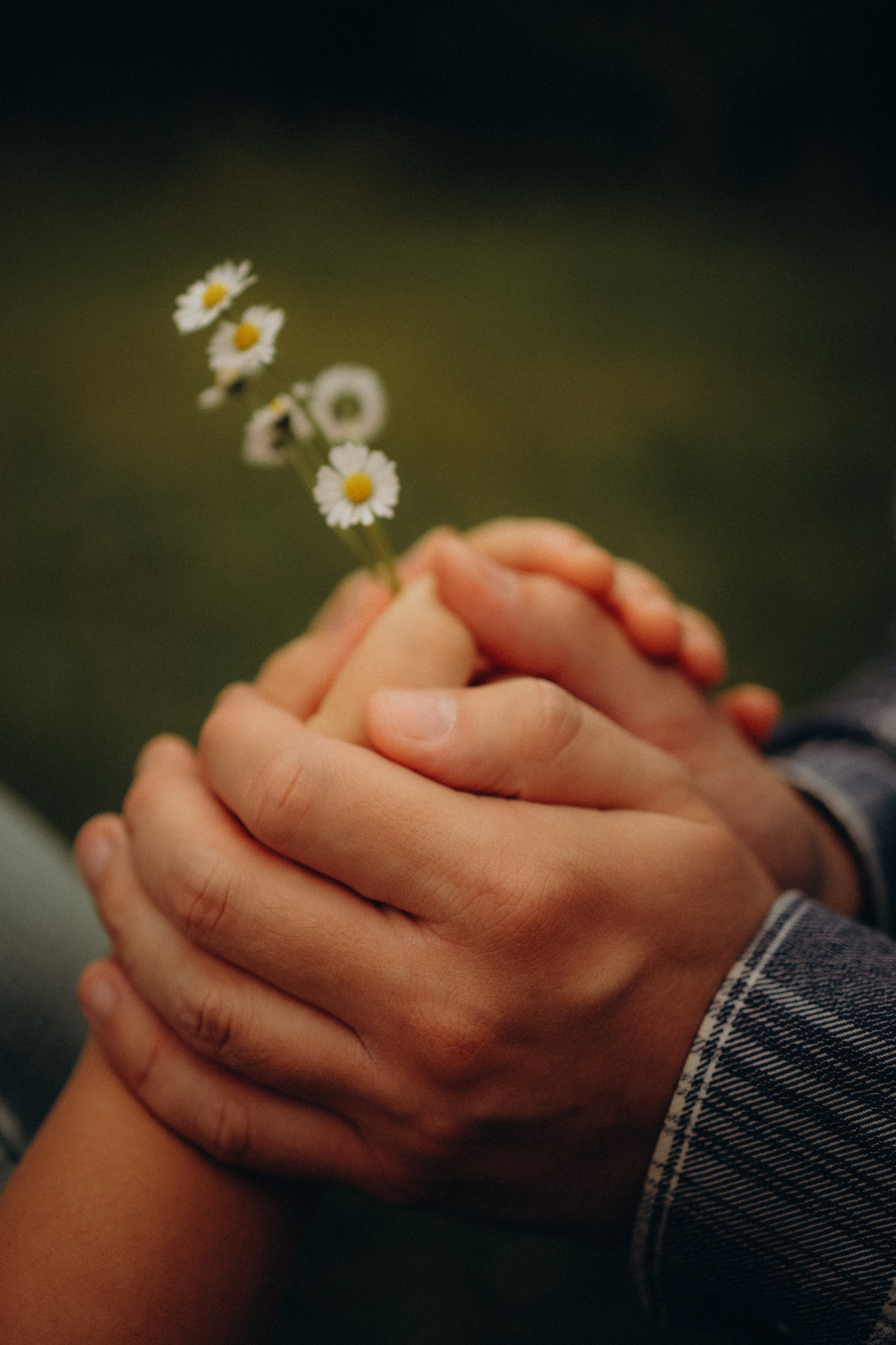 Беременная прогулка в парке. Иза и Сережа. Семейный фотограф в Москве и Люберцах Юлия Гуськова