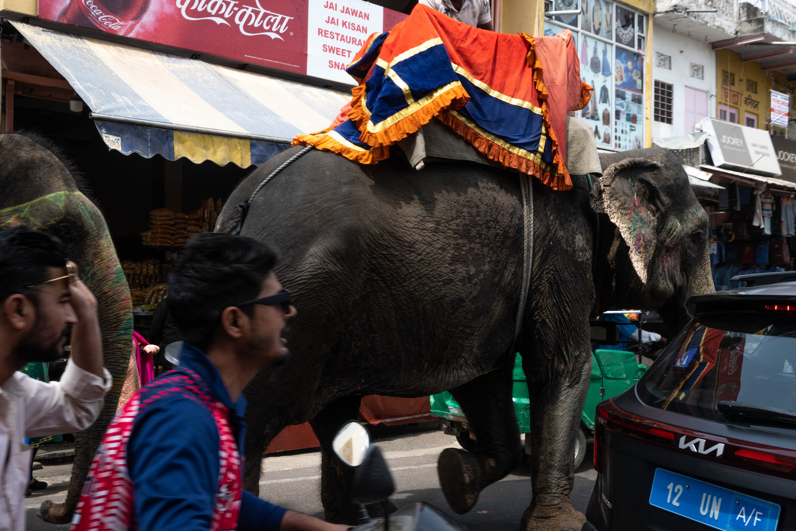 ИНДИЯ. Фотограф Анастасия Броварник в Санкт-Петербурге