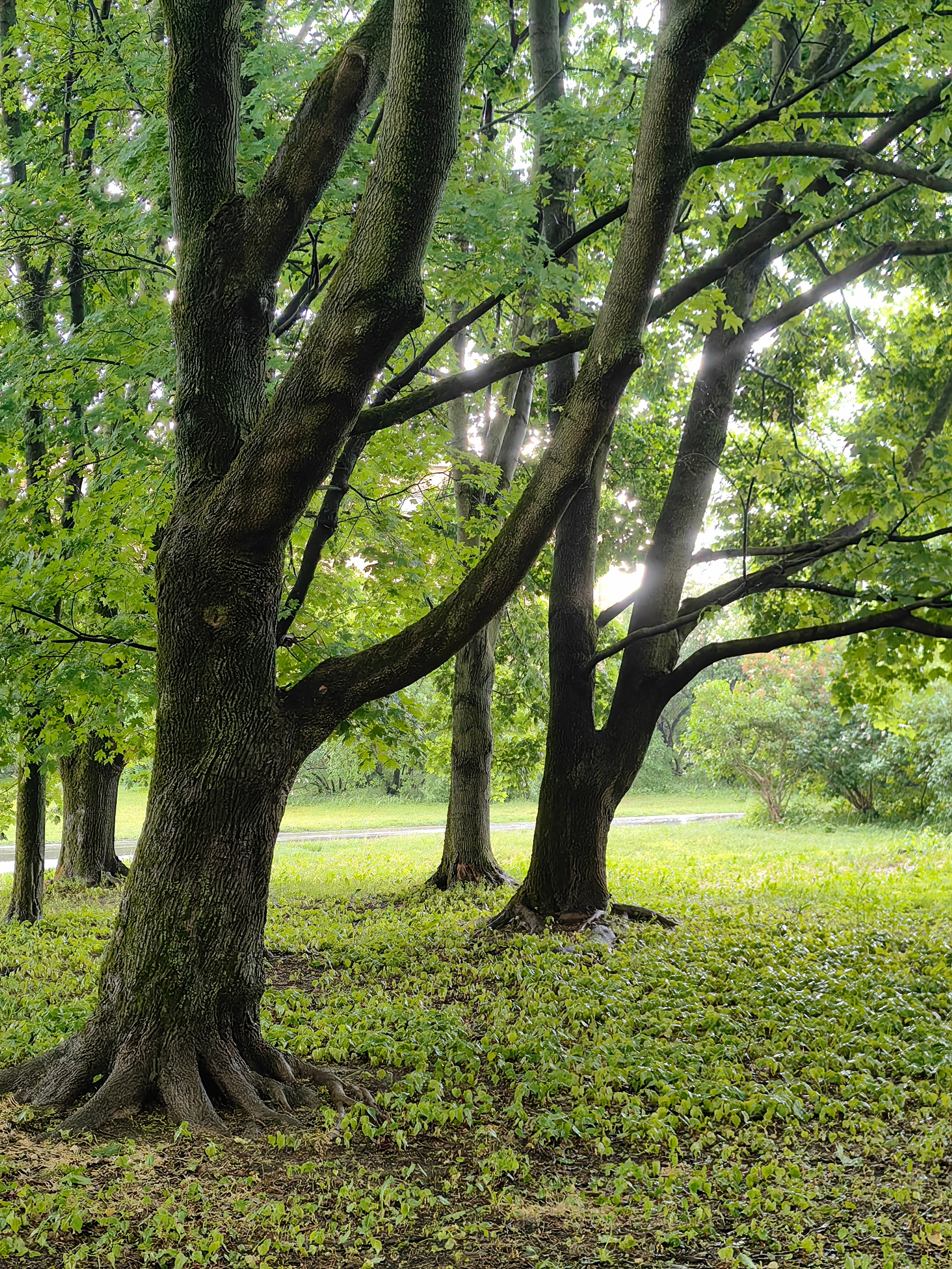 Парк БОТАНИЧЕСКИЙ САД обзор. Фотограф в Москве и Московской области (Ю-В) Олеся Макарова