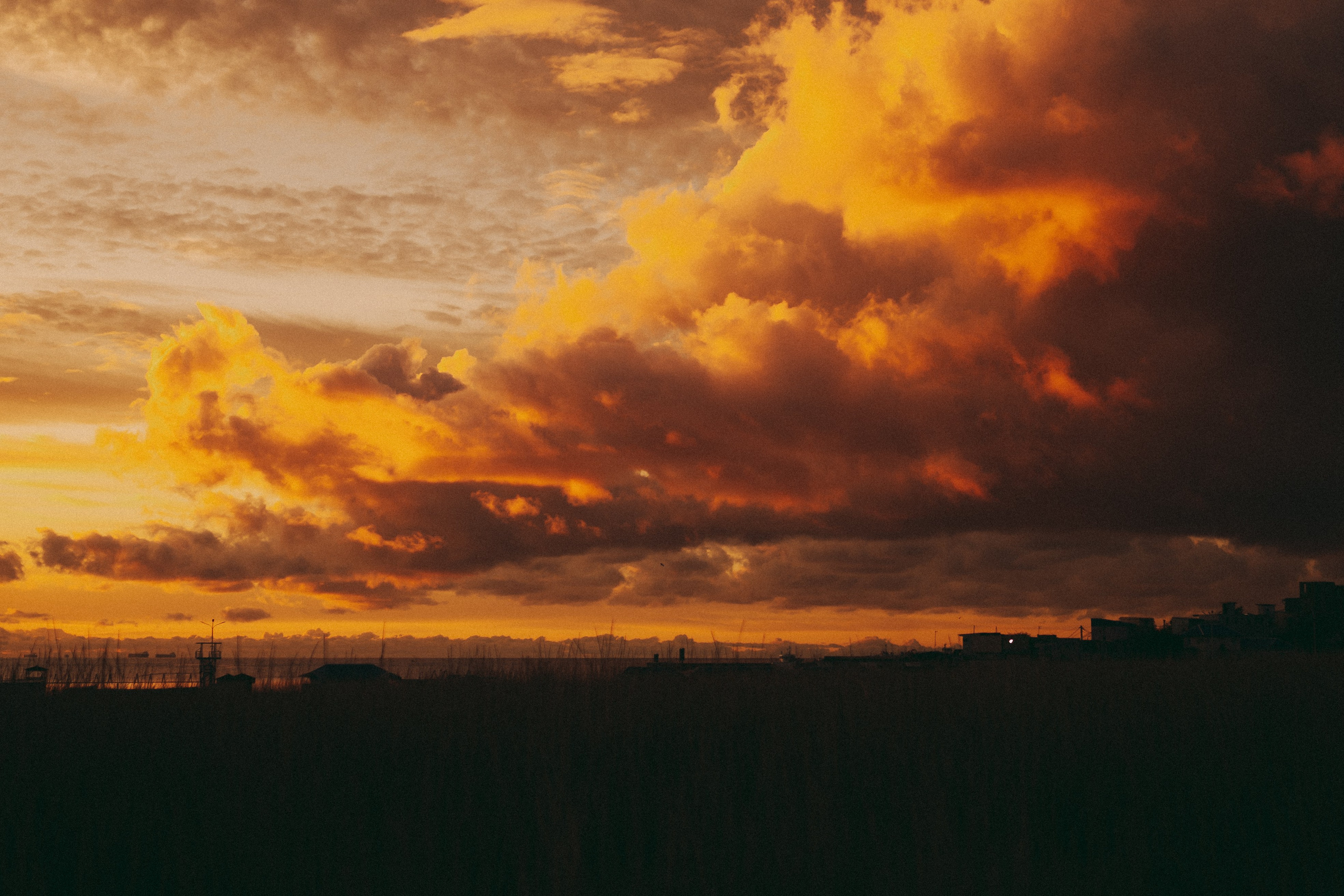 Твой рассвет. Фотограф Дарья Филатова