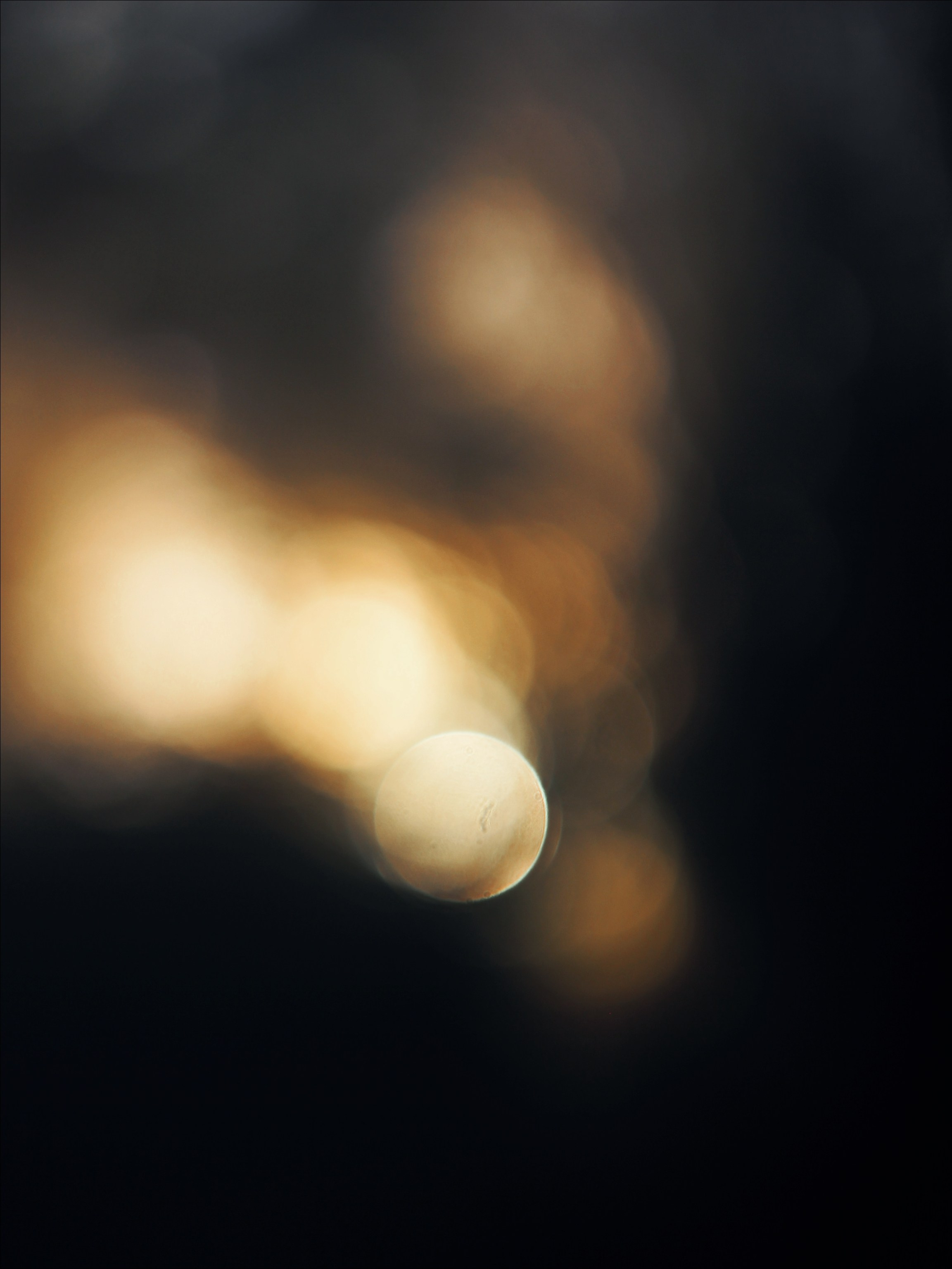 Опустошенность. С любовью, фотохудожник