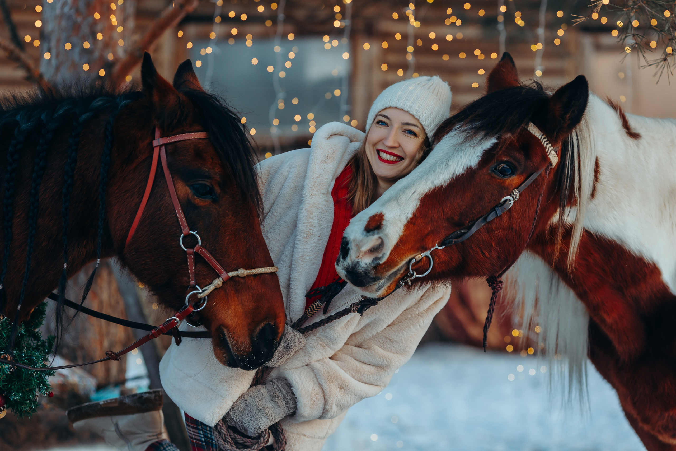 Тариф новогодний 2024. Анна Молчанова конный фотограф в Тюмени | фотосессии с лошадьми Тюмень