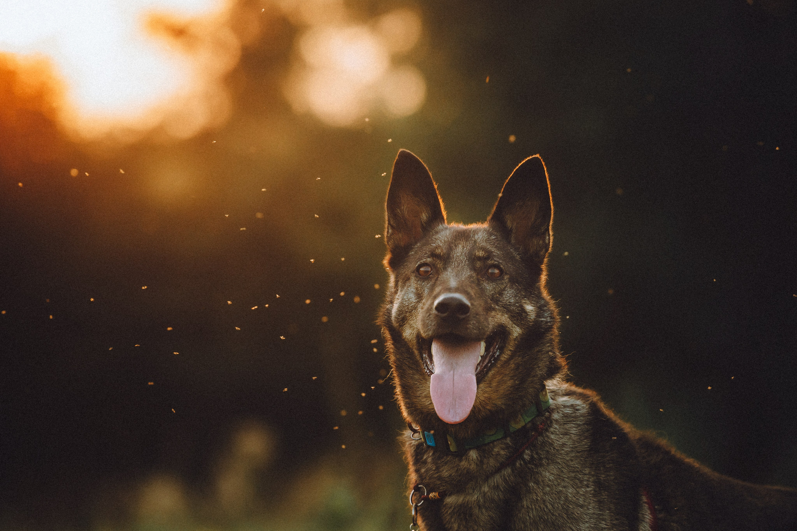 Лучшего времени, чем сейчас — не будет