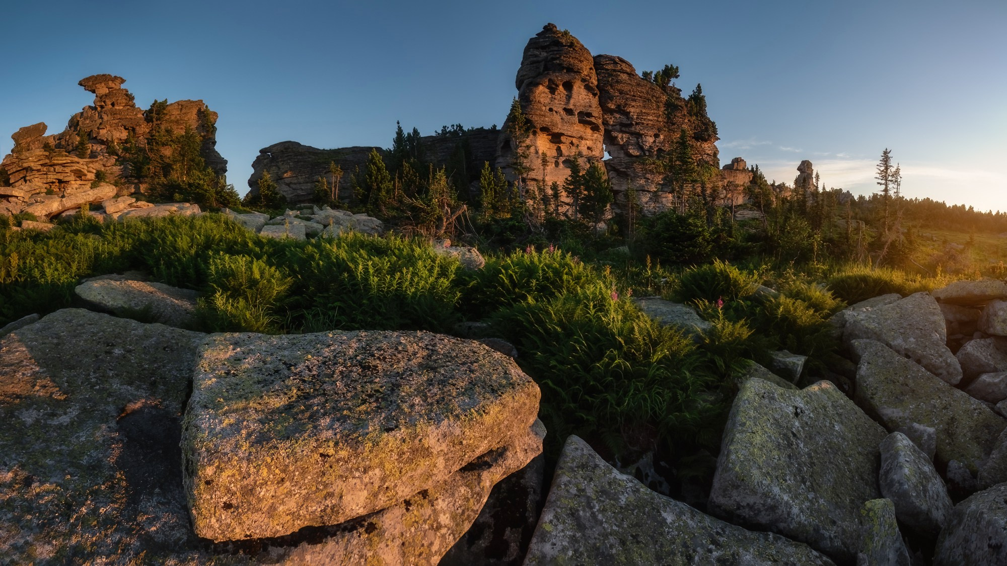 Тигирекский заповедник, Краснощёковский район, июль 2024