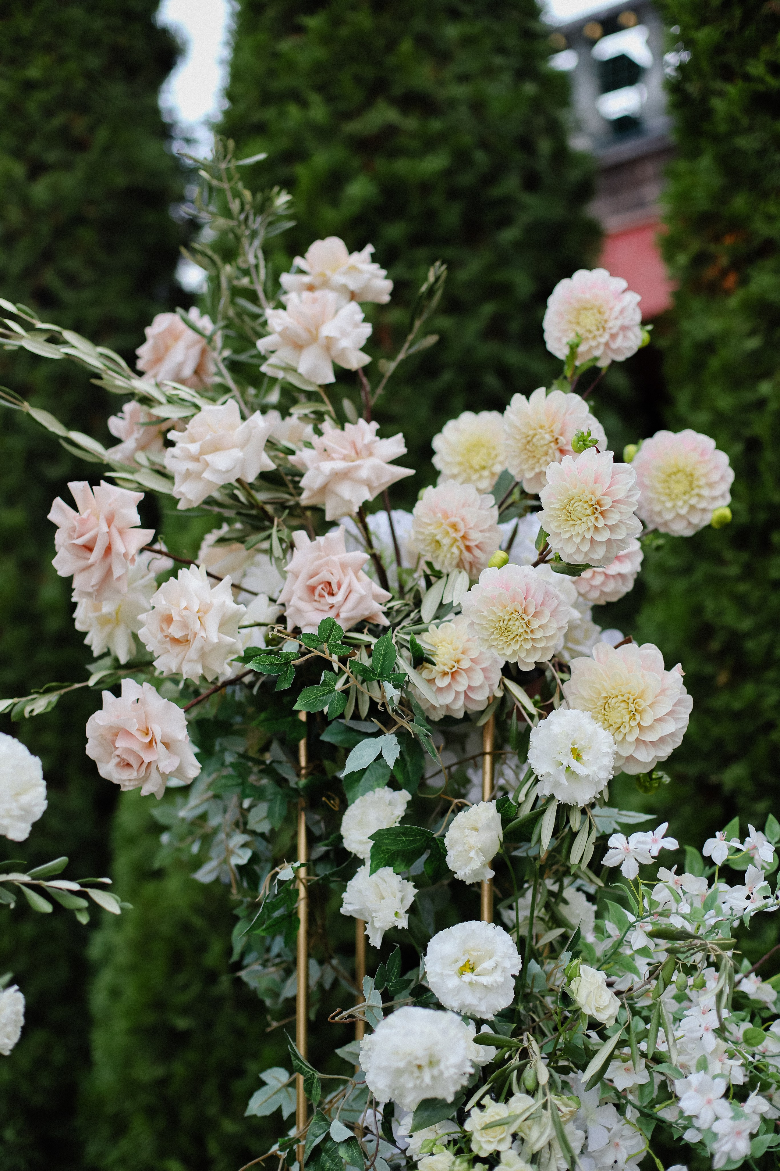 Илья и Анастасия. Фотограф в Алматы и Москве Даша Пушкина