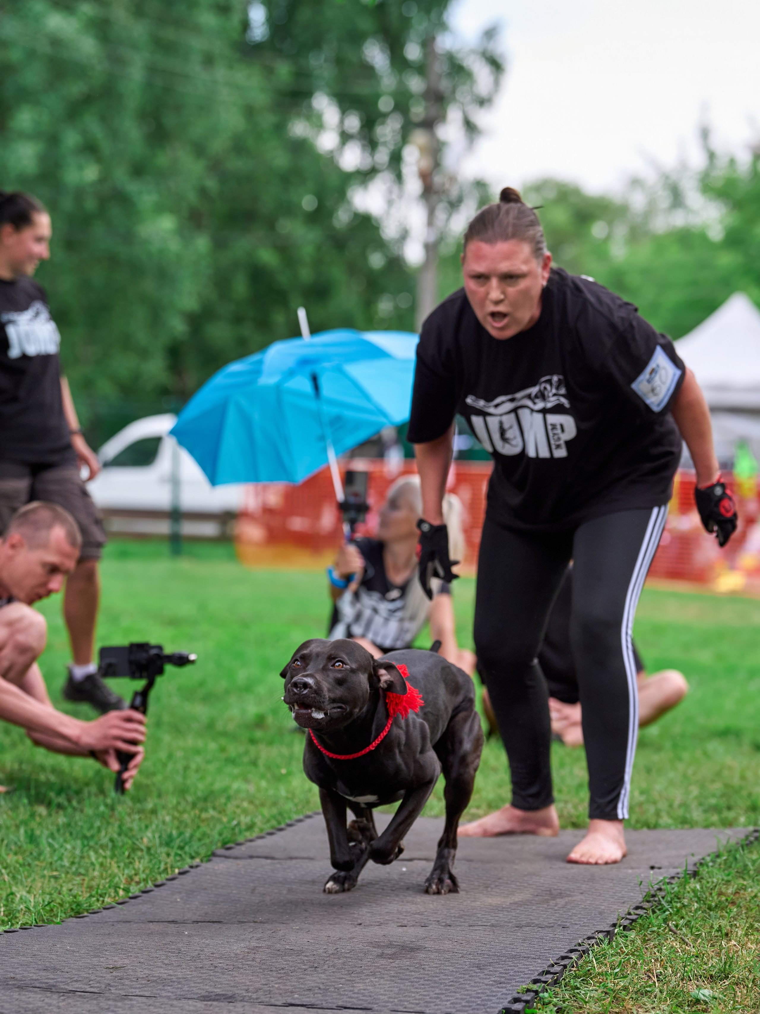 Двухдневные соревнования «Jump'n'Gym Fest — 2024». Фотограф-анималист Михаил Манухин