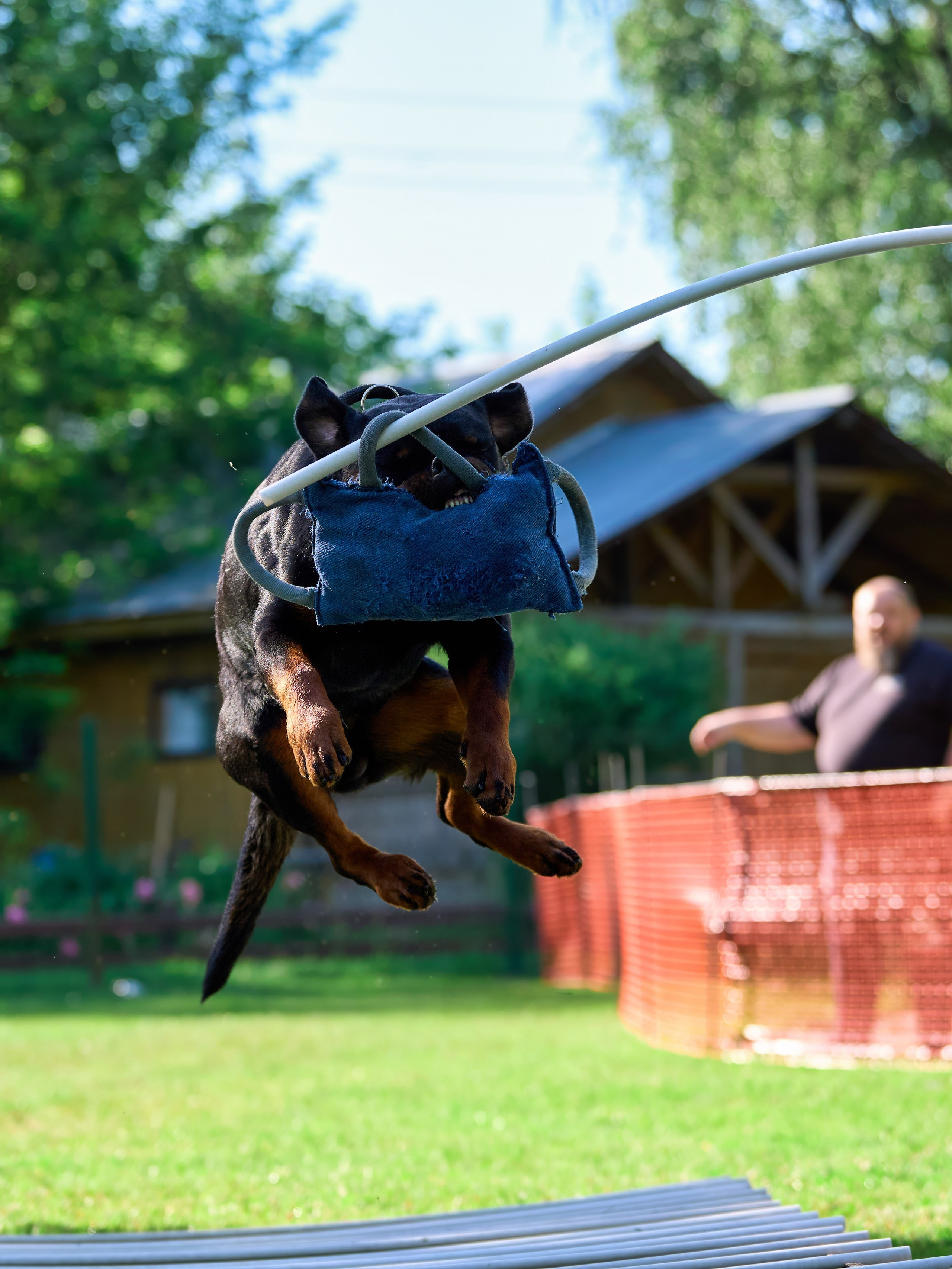 Двухдневные соревнования «Jump'n'Gym Fest — 2024». Фотограф-анималист Михаил Манухин