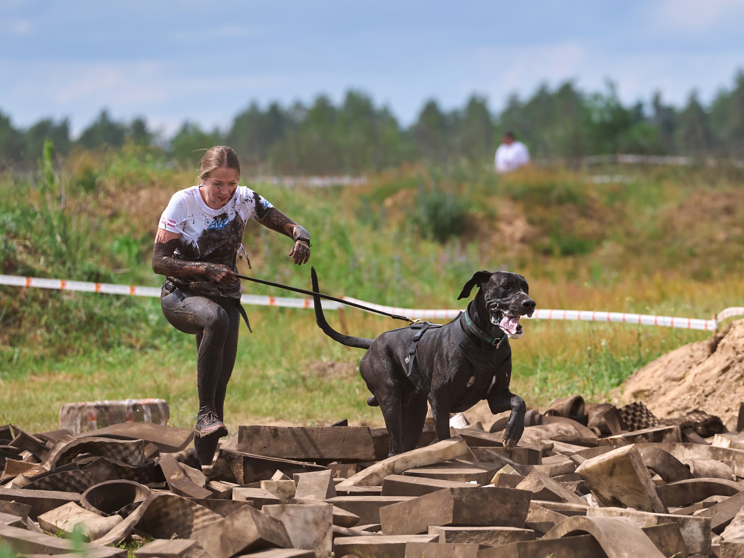 Хвостатый драйв — 2024. Фотограф-анималист Михаил Манухин