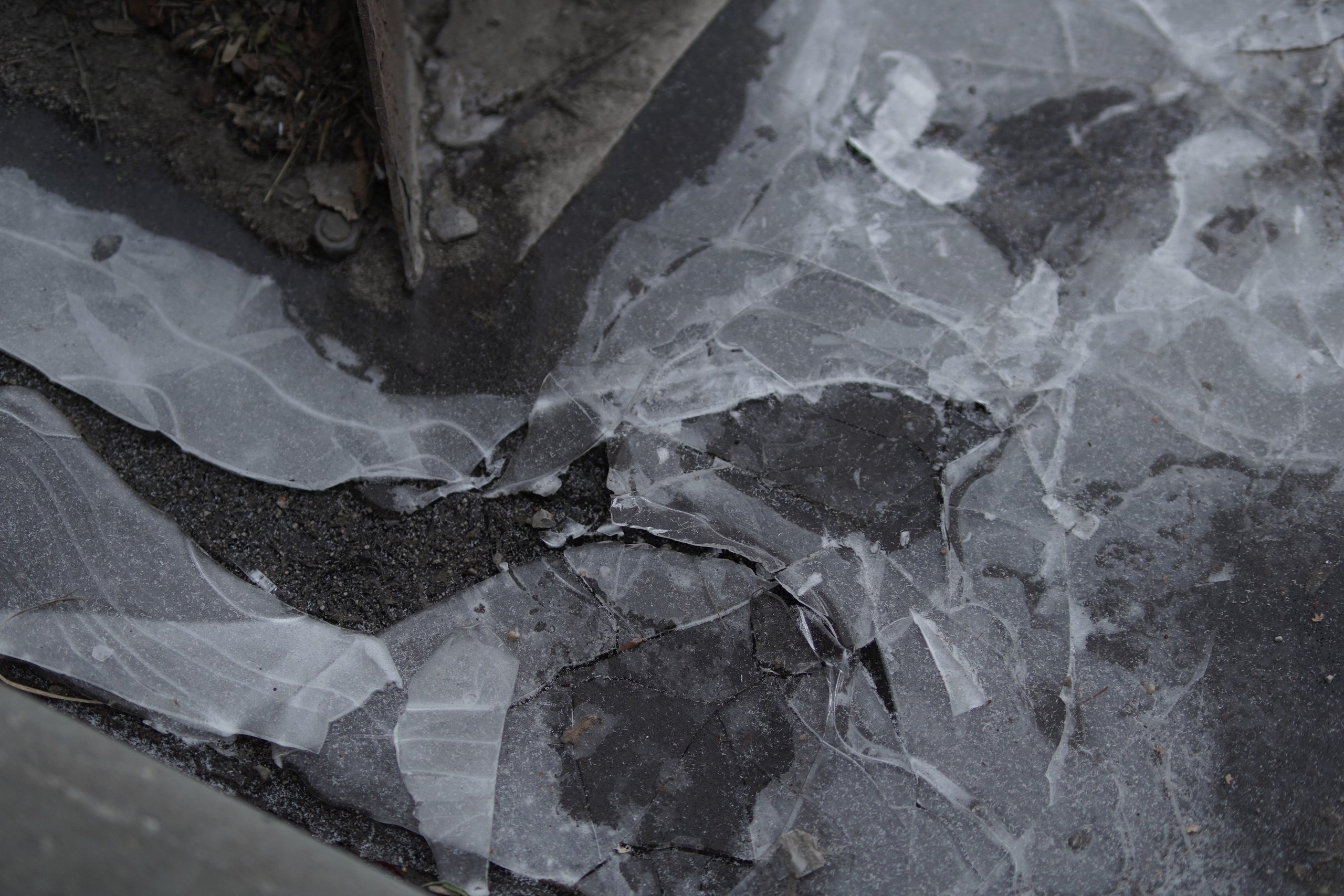 Камера всегда рядом. Фотограф Кузнецов Егор Липецк