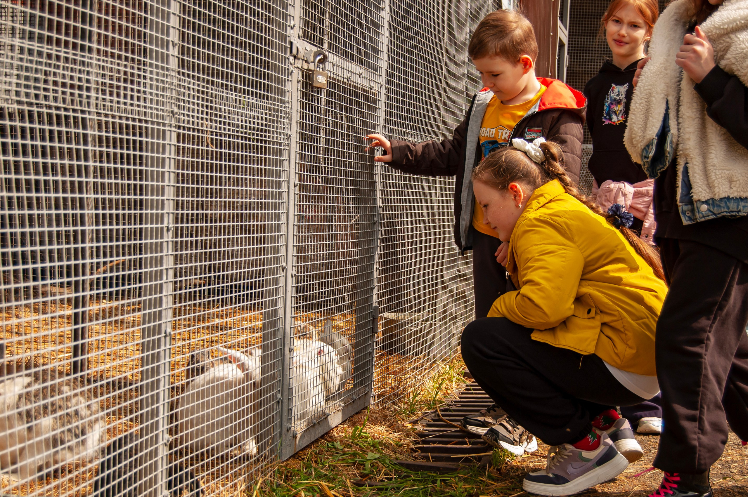 Репортажная съёмка экскурсии учеников СОШ № 11 2 «В» класса в Краснодаре. Портретный фотограф в Краснодаре Слава Никитин