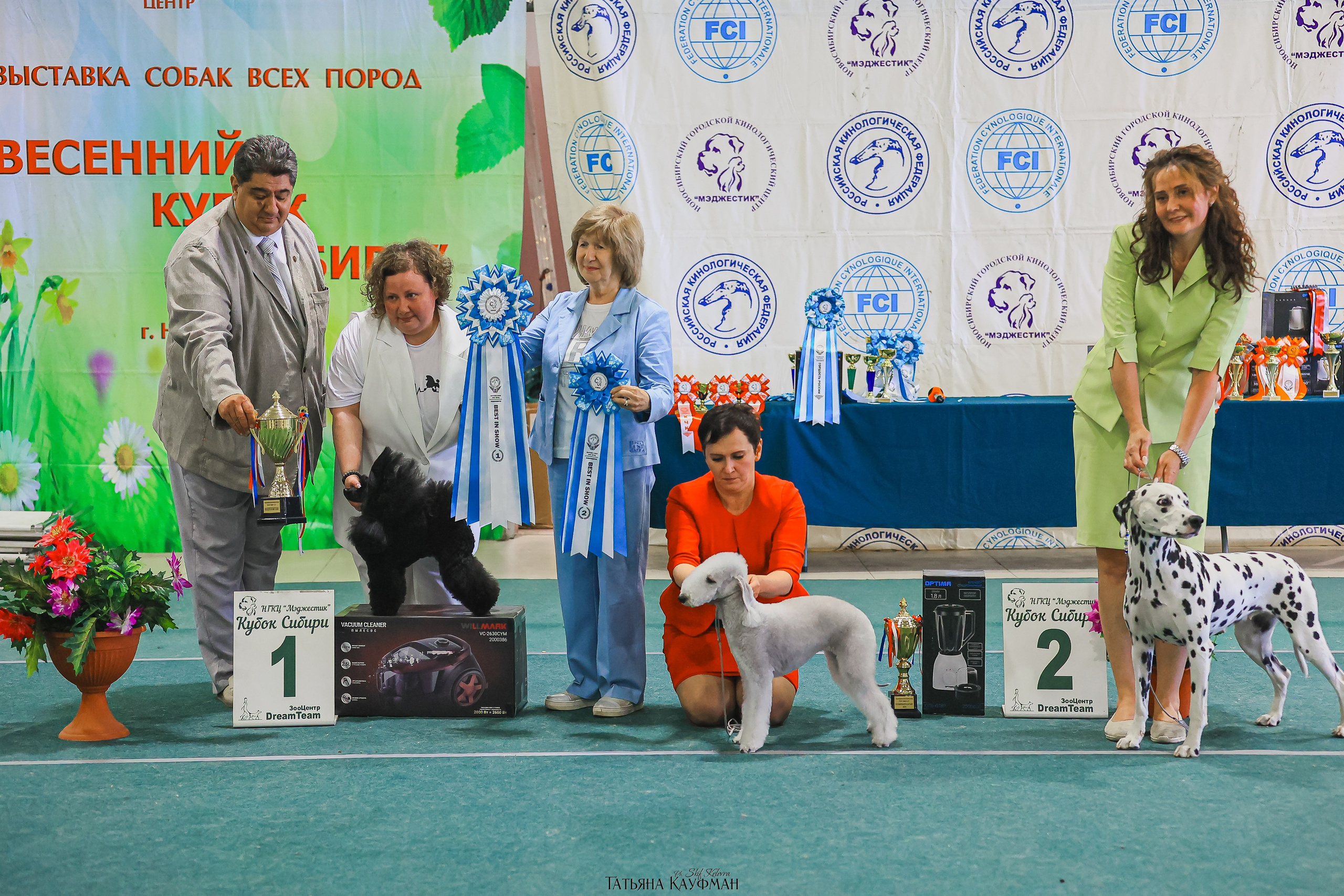 13.07.25 2х выставки собак. Новосибирск. «Кубок Сибири»