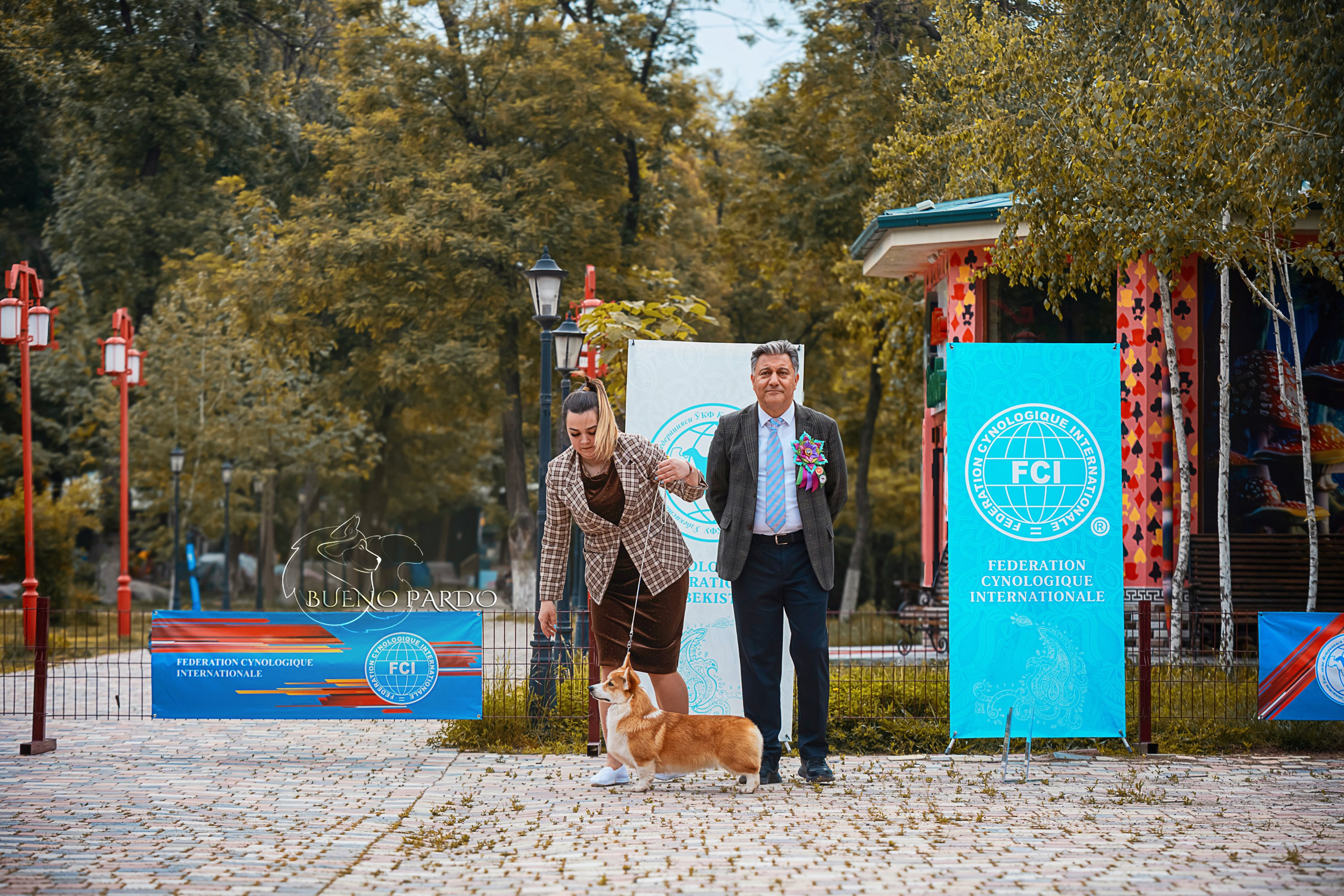 Собаки питомника Bueno Pardo. Питомник собак Акита, Хаски, Корги