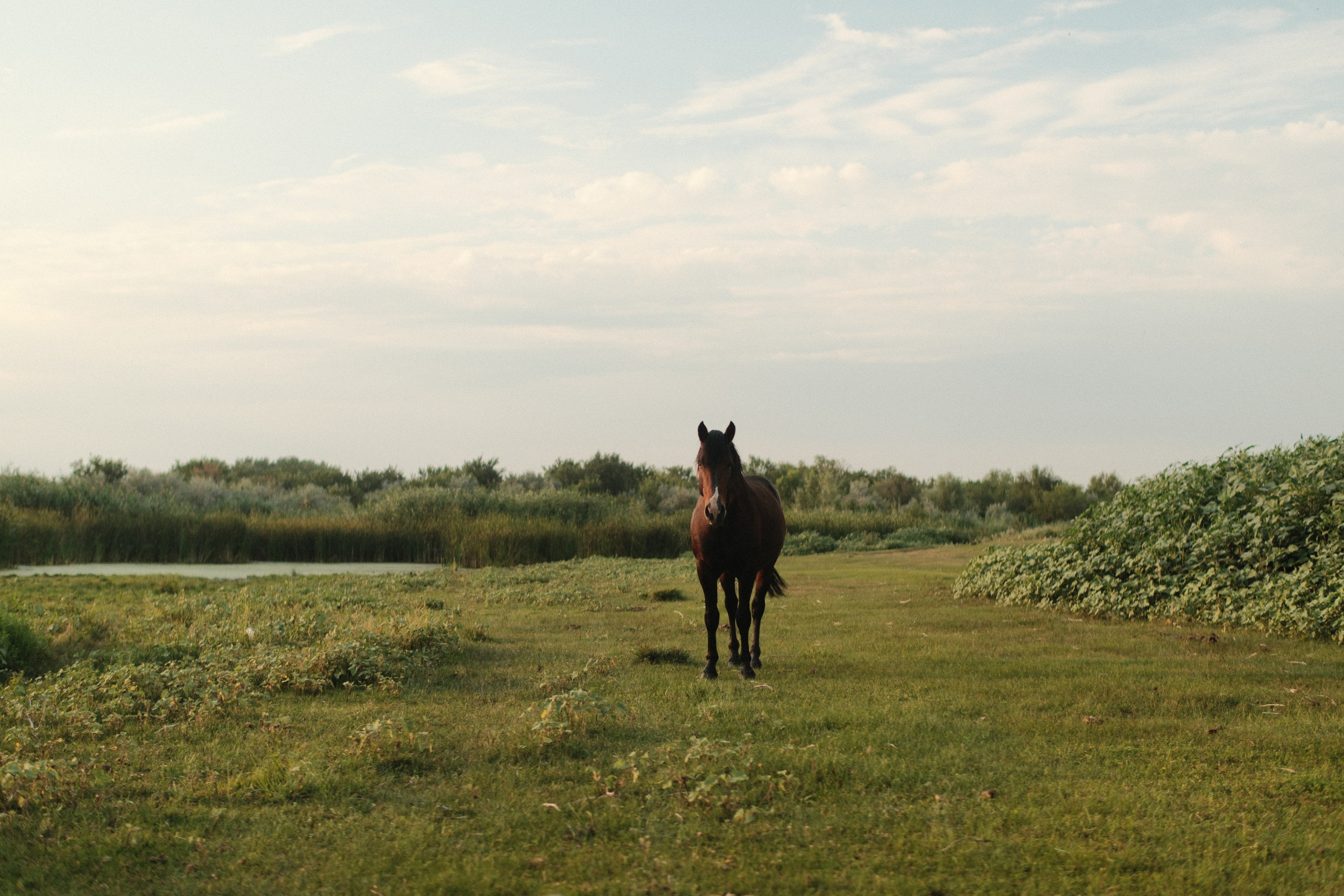 Внезапная фотосессия. Фотограф/Видеограф из Саратова