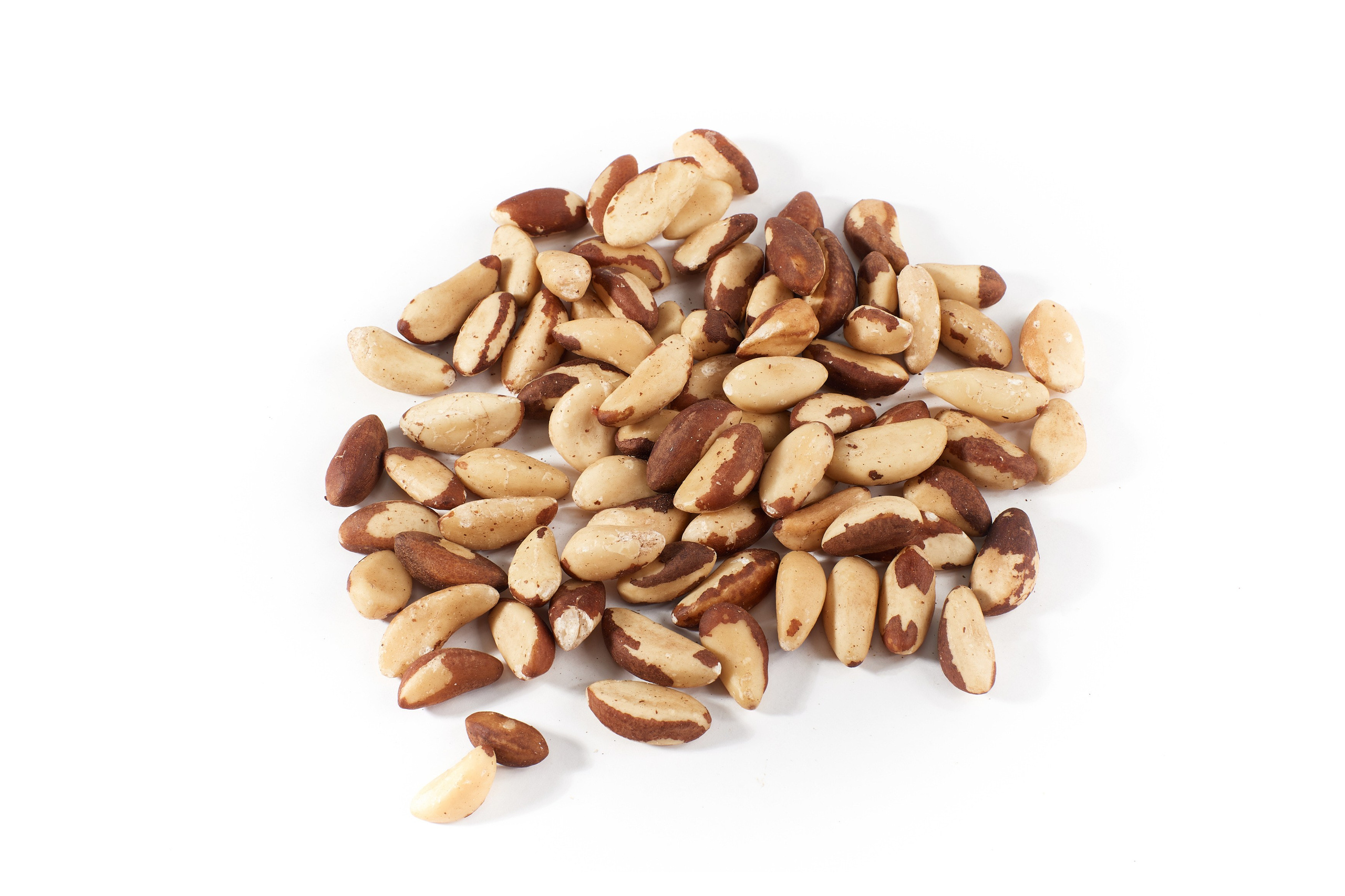 Nut4Life. Фотограф Сергей Бойко Москва