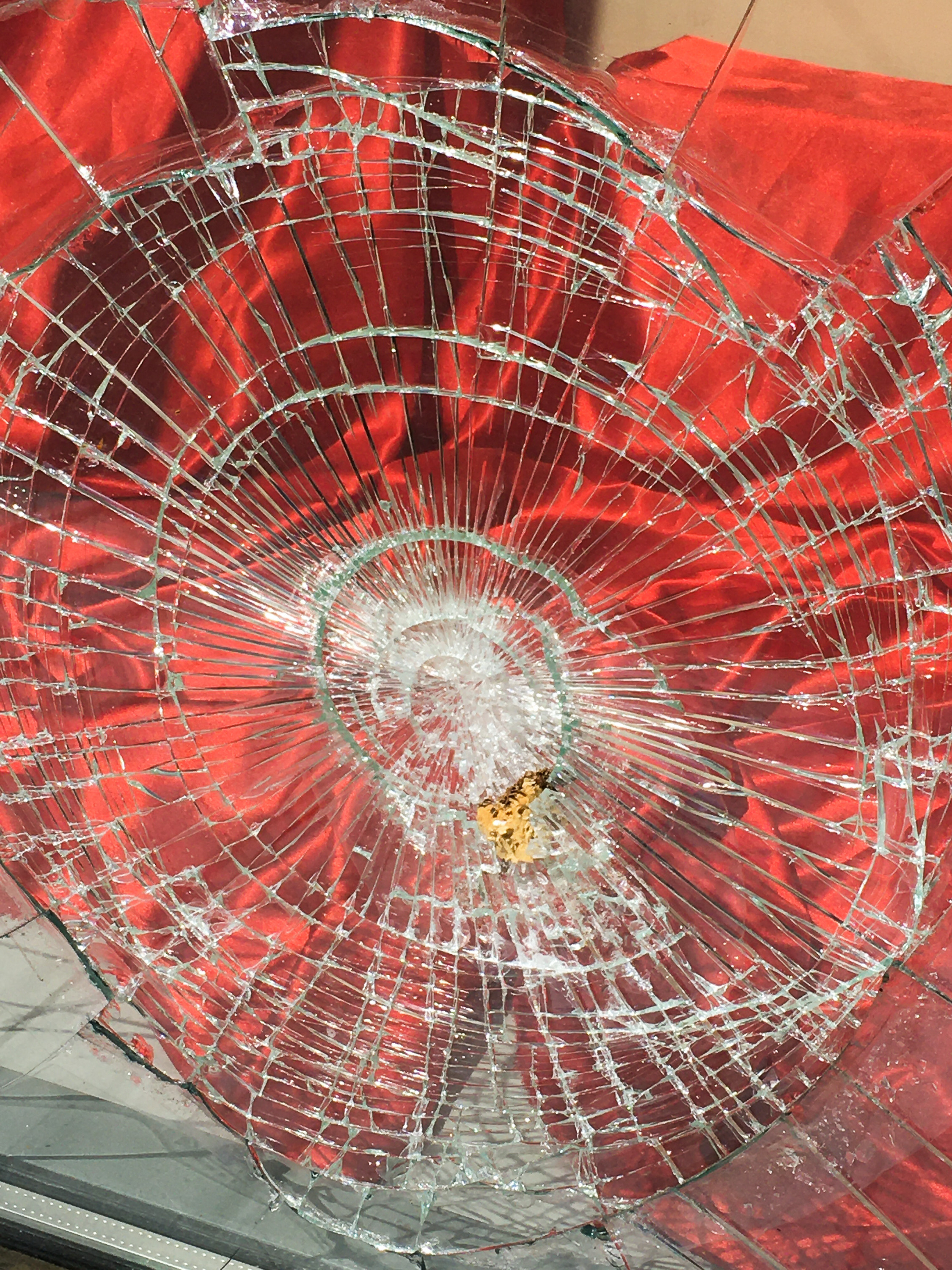 Предвзятая действительность. Дима Птицын