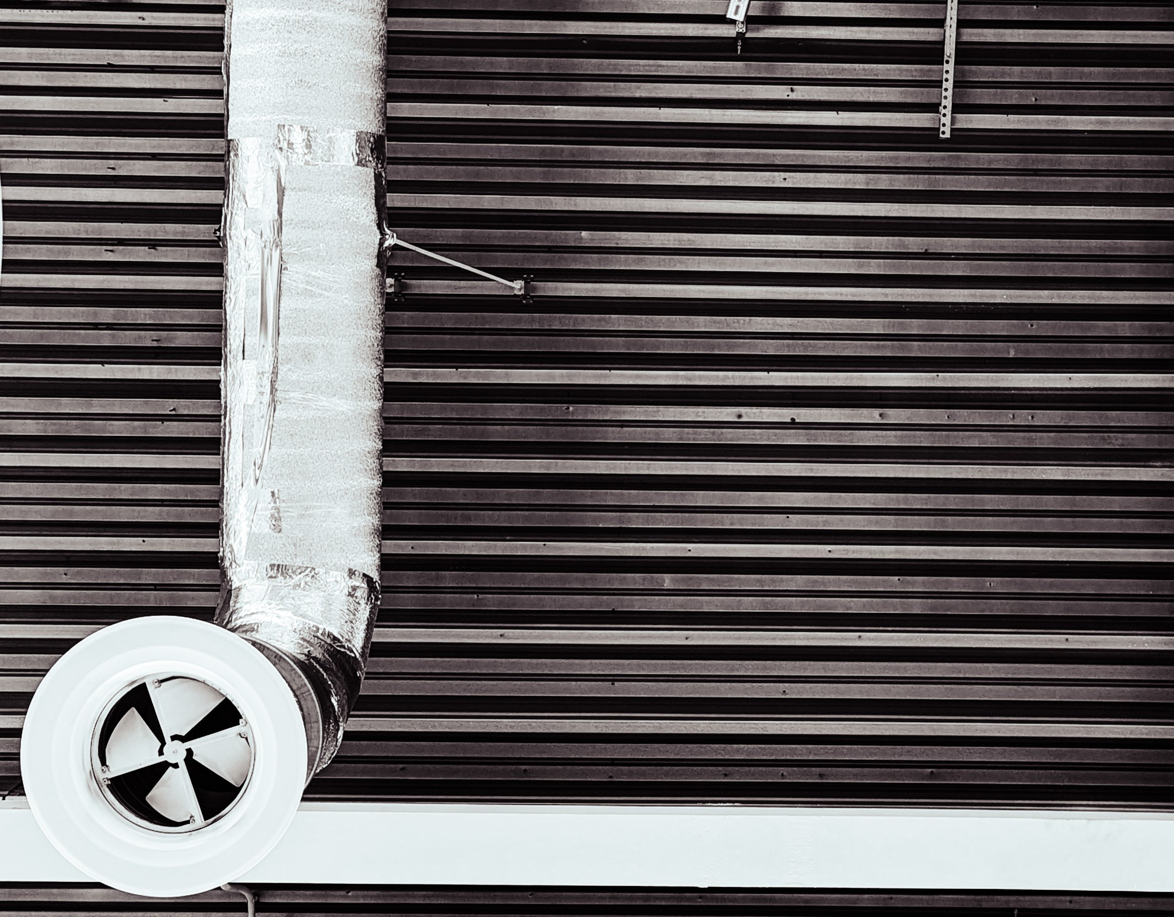 Мир вокруг: мобильная фотография — быстрая композиция. Любовь Каширская — фотограф для малого бизнеса и специалистов