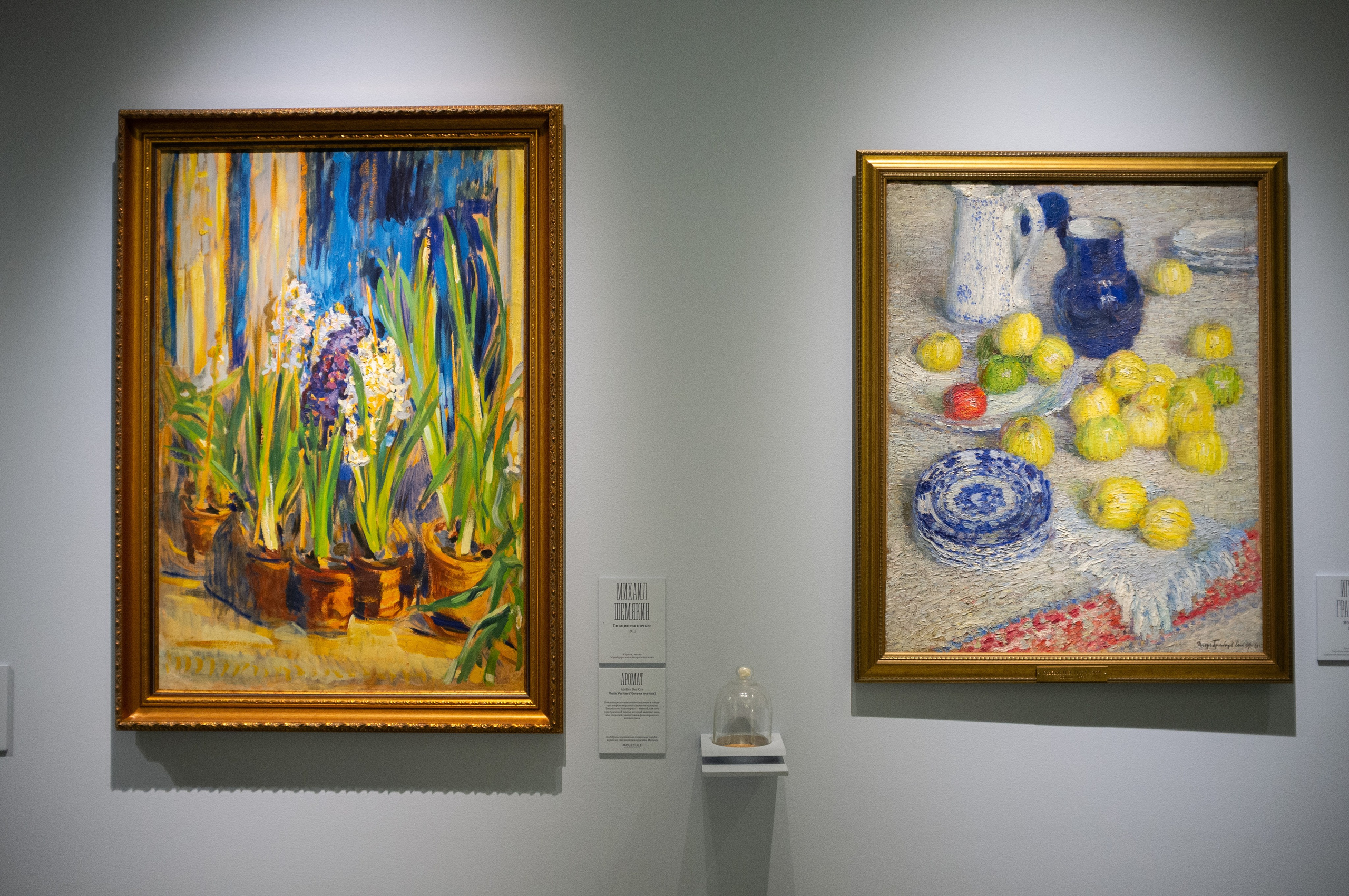 Изображая воздух. Свет и цвет. Искусство фотографии. Мария Осокина