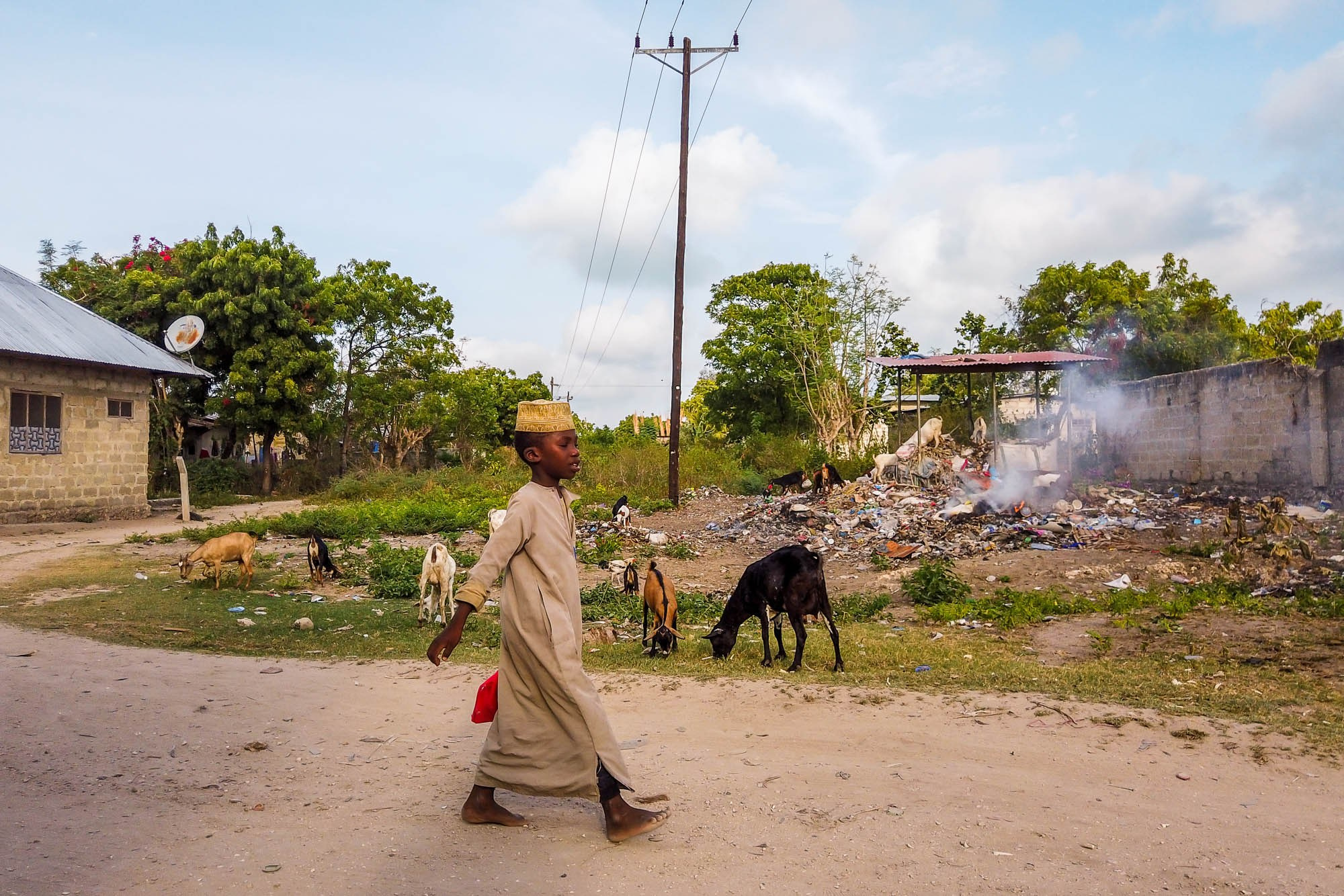 Африка, Танзания, Занзибар, Нунгви. Africa, Tanzania, Zanzibar, Nungwi. Фотограф Алексей Скоробогатько