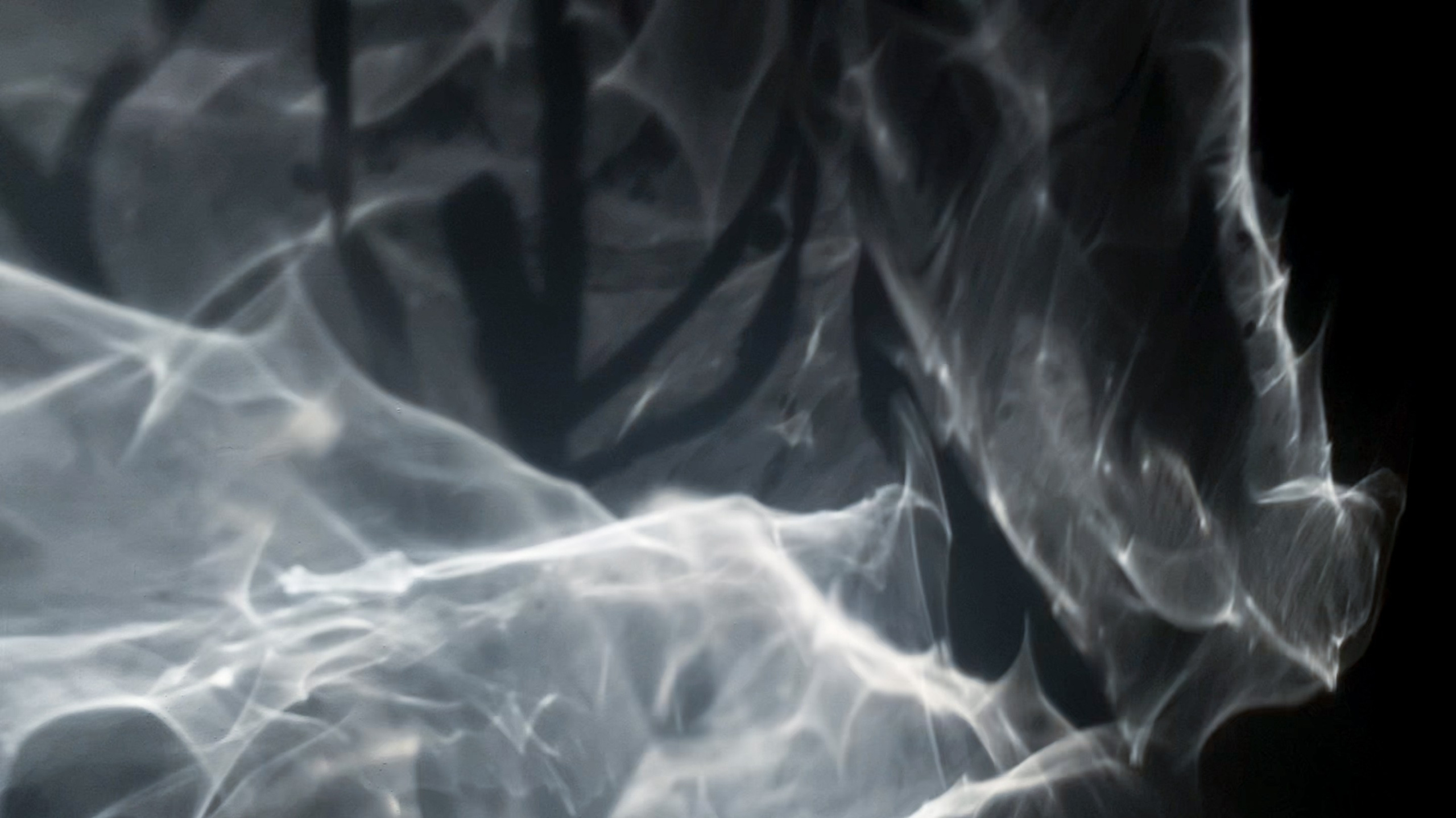 EKATERINA BOGDANOVA ─ PHOTOGRAPHER