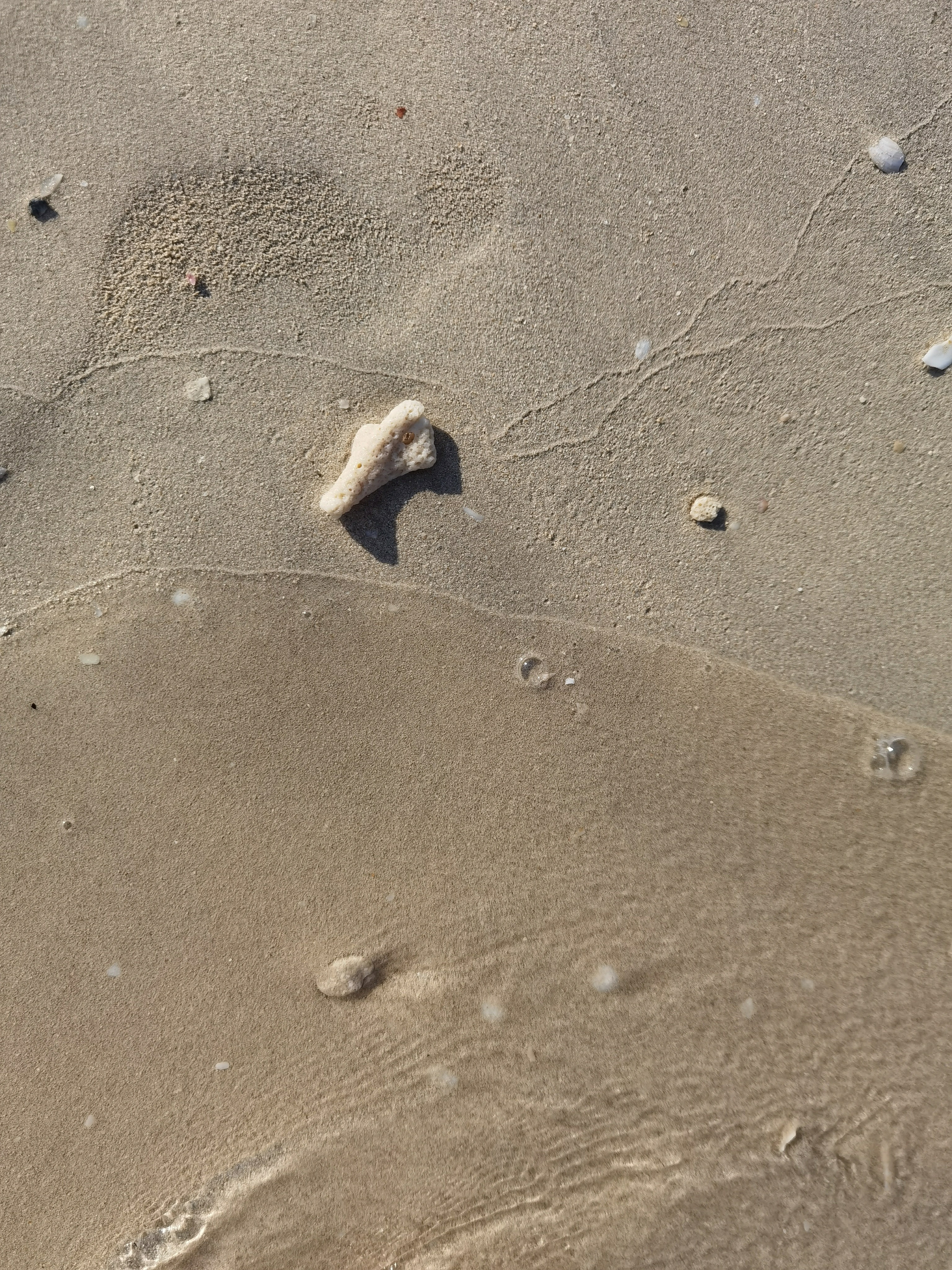 Дубай. Елена Павленко. Фотограф. Москва