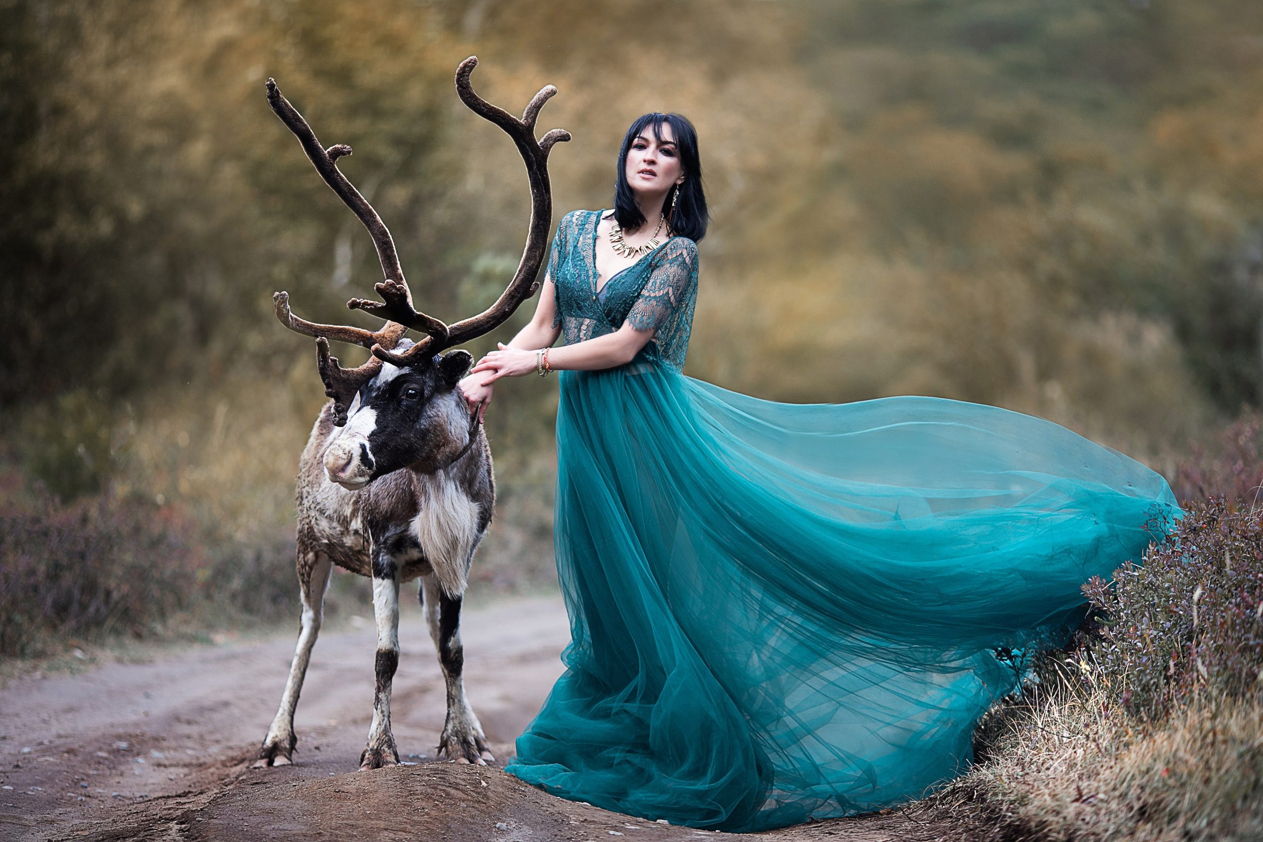 Фото с оленями. Обо мне