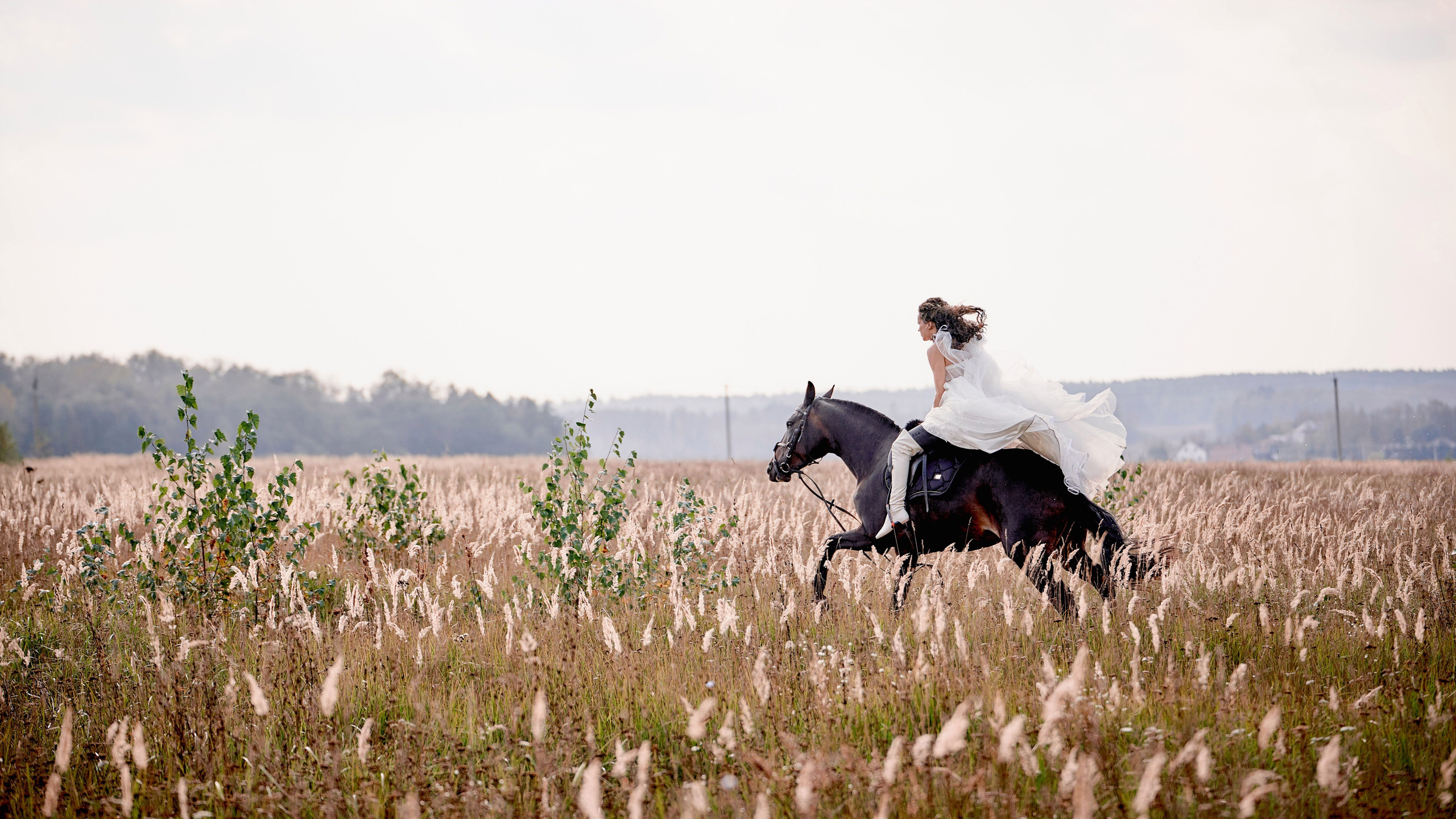 Love Story Дмитрия я Ирины