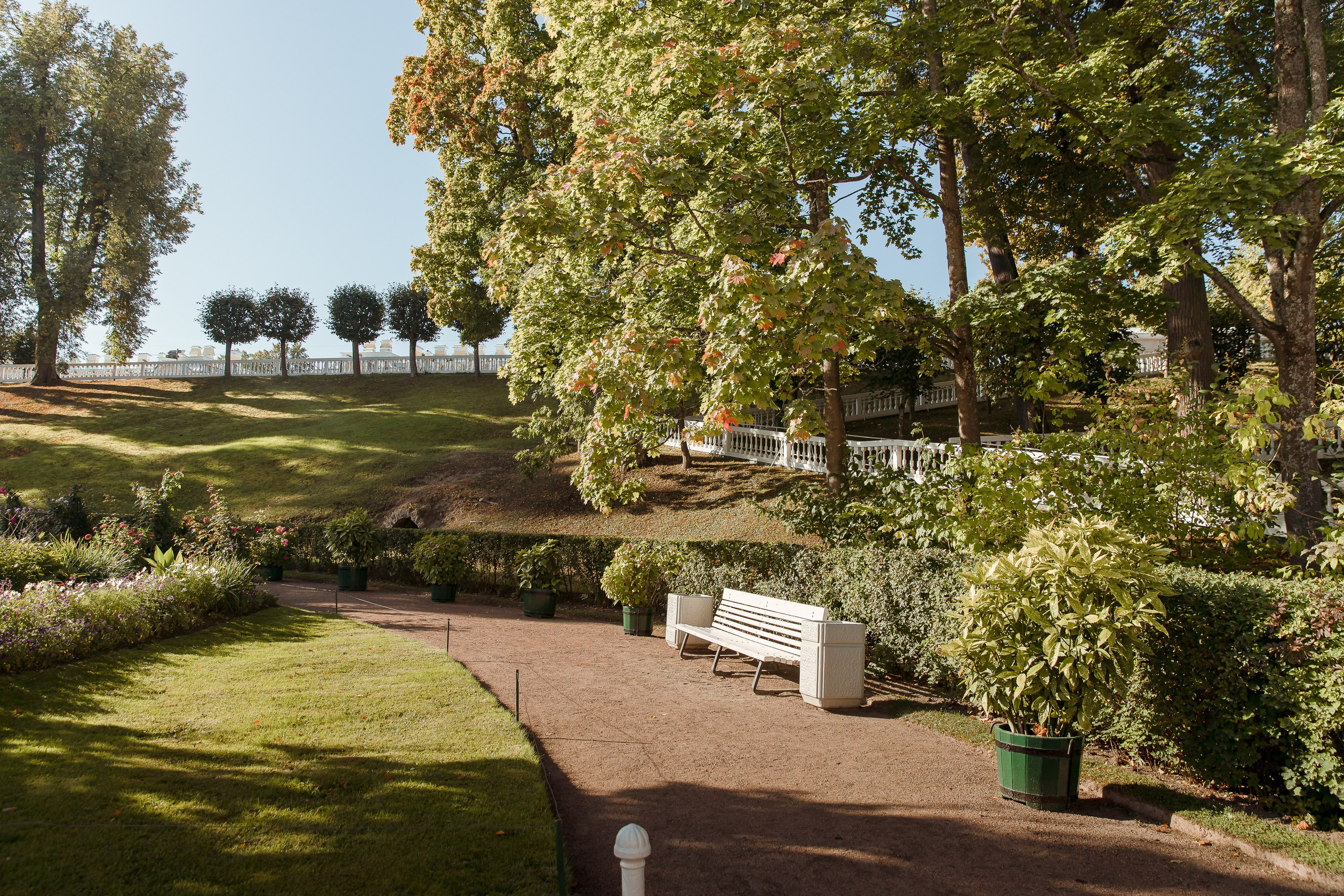 Санкт-Петербург, Питергоф осень 2023. Семейный и детский фотограф в Железногорске Саламахо Ольга