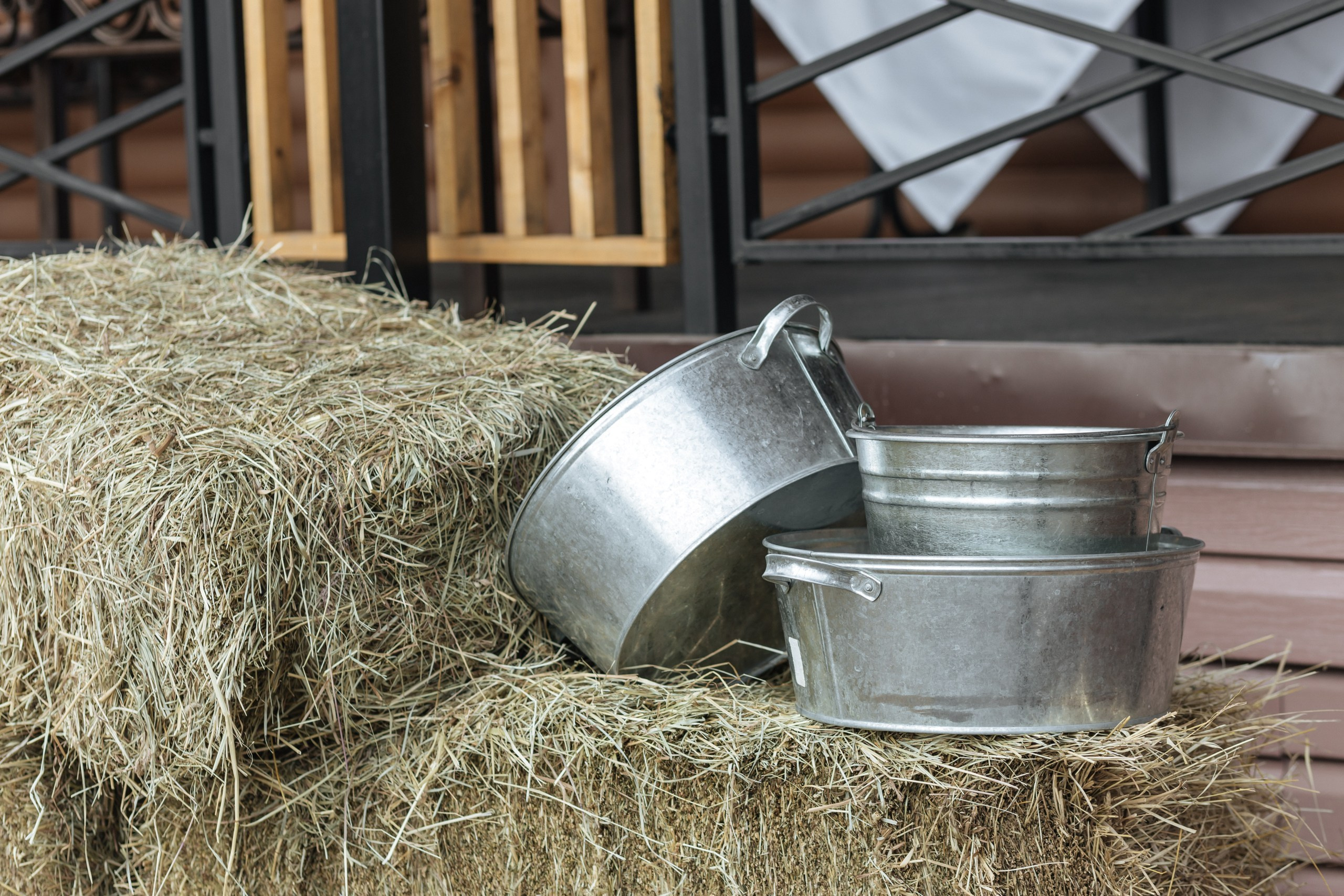 А & Ю | Камерная свадьба под открытым небом. Свадебный фотограф Настя Шелл г. Череповец