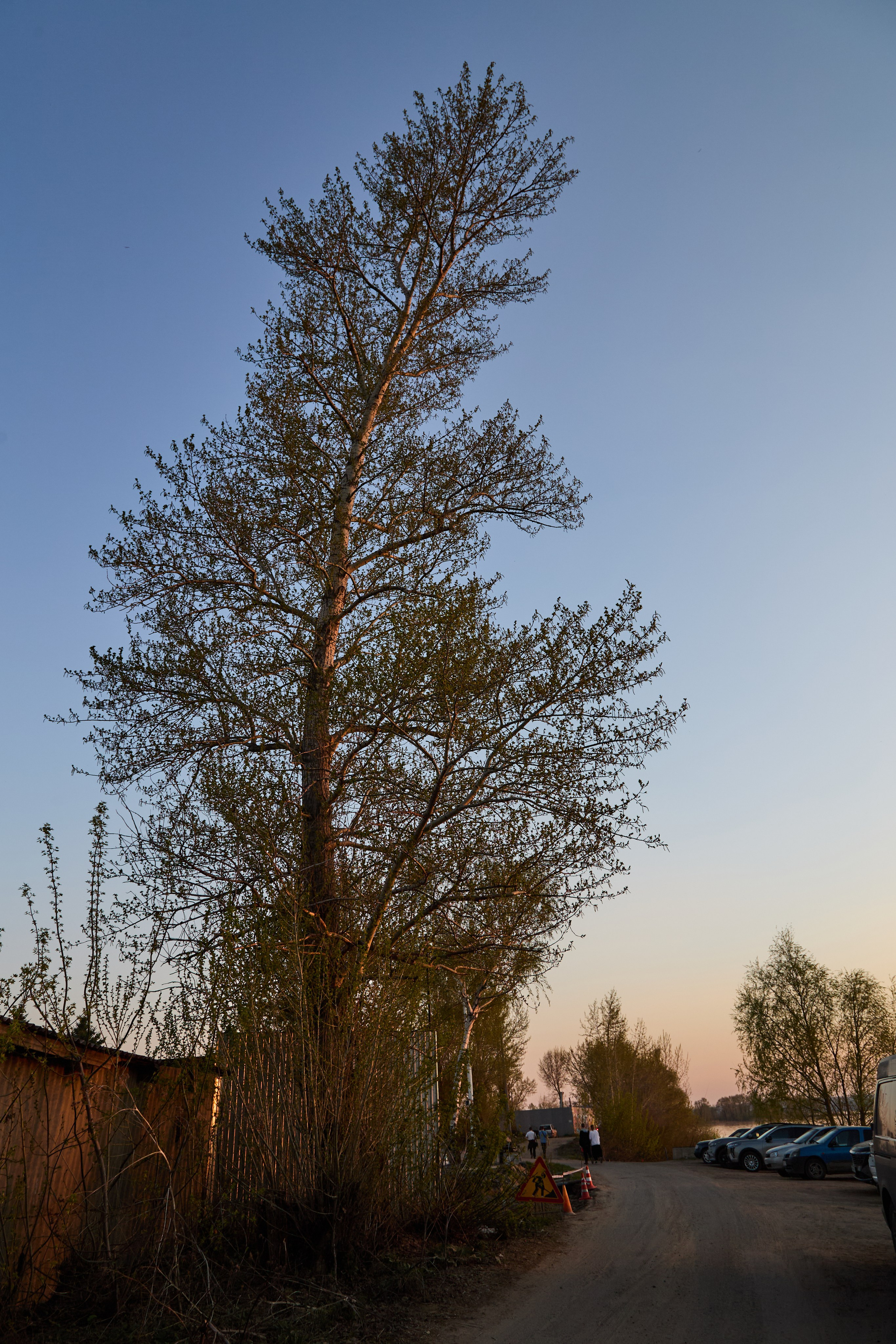 Курс по фотографии