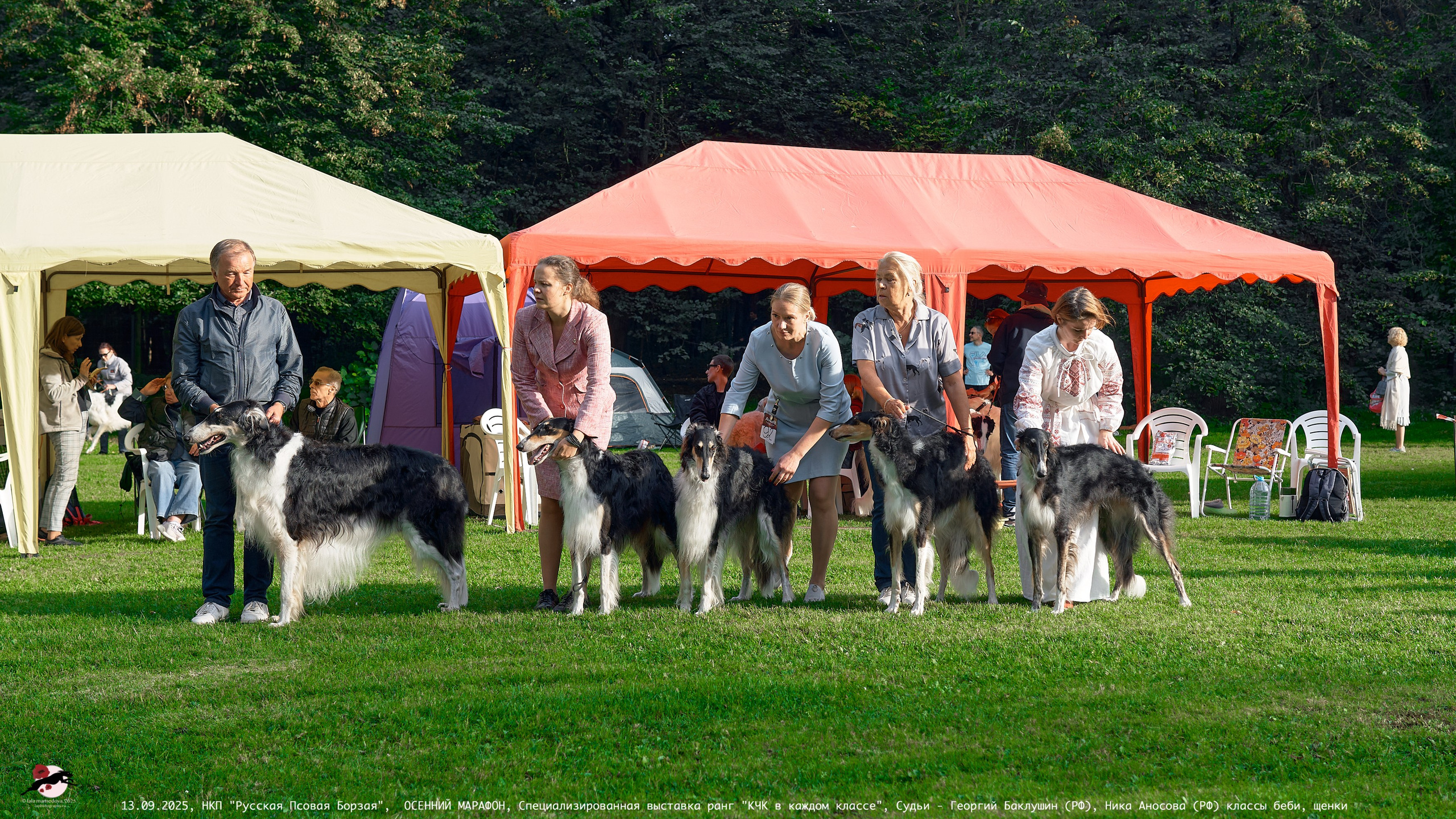 ОСЕННИЙ МАРАФОН | Специализированная выставка породы Русская Псовая Борзая ранг "КЧК в каждом классе"