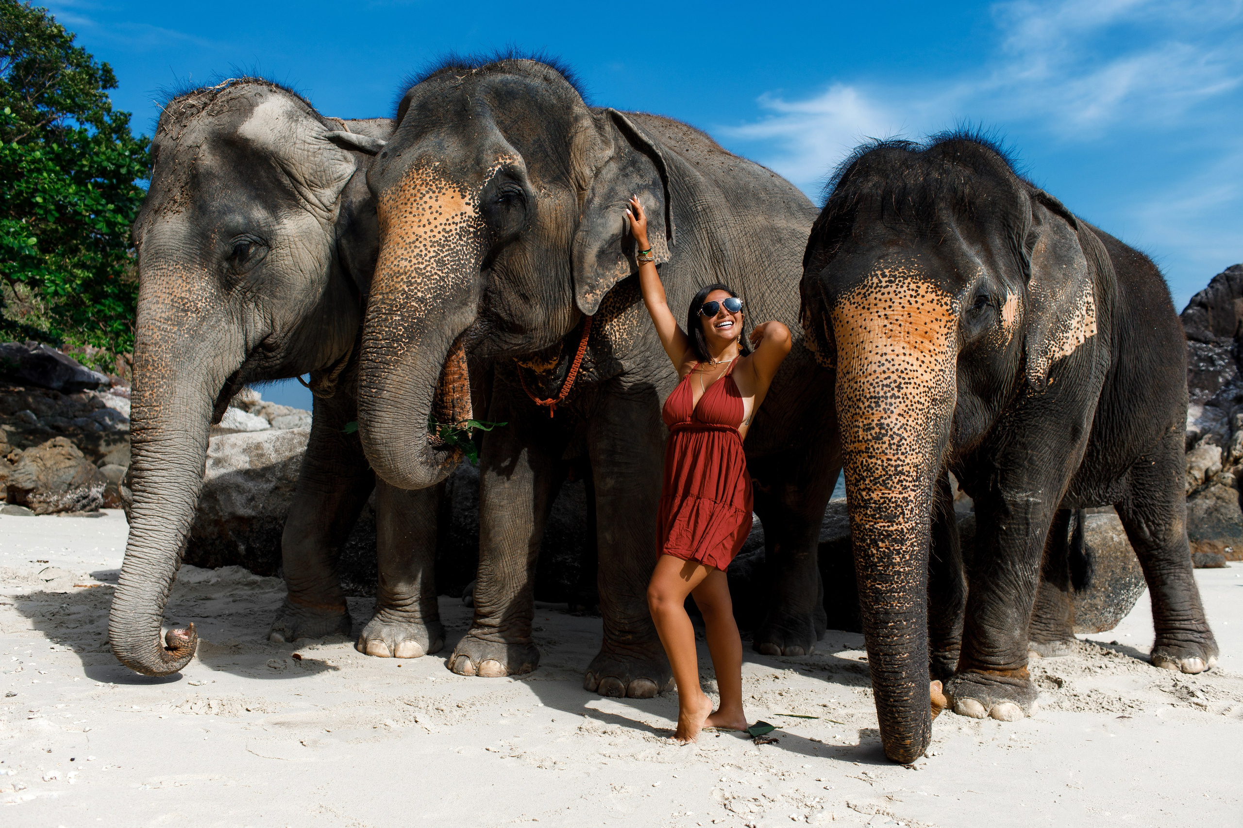 Фотосессия со слонами на Пхукете. Фотограф на Пхукете в Таиланде