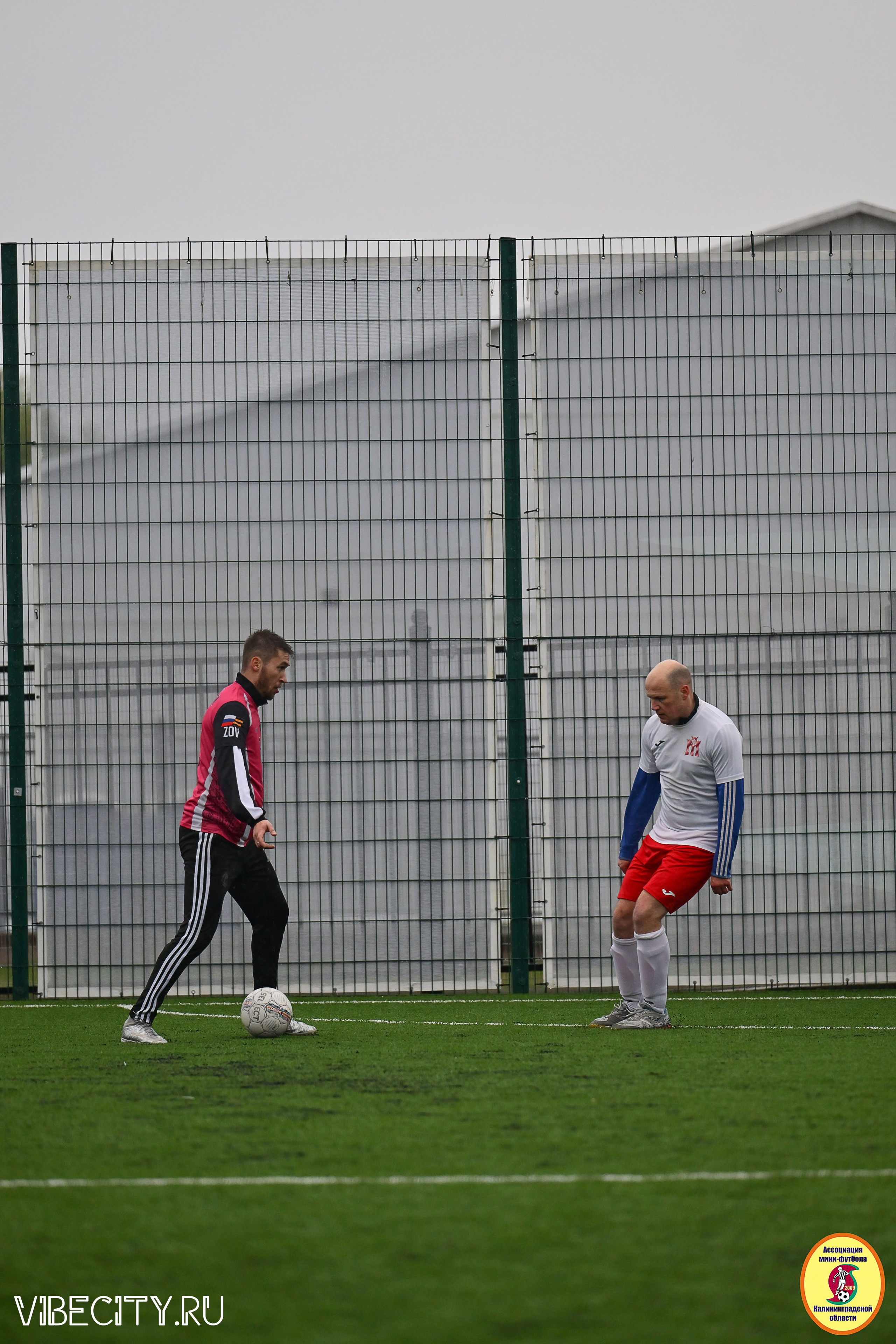 ИГРЫ МИНИ-ФУТБОЛЬНОЙ ЛИГИ. VIBECITY.RU Вайб Сити Ру Фоторепортажи Фотоотчеты Калининград