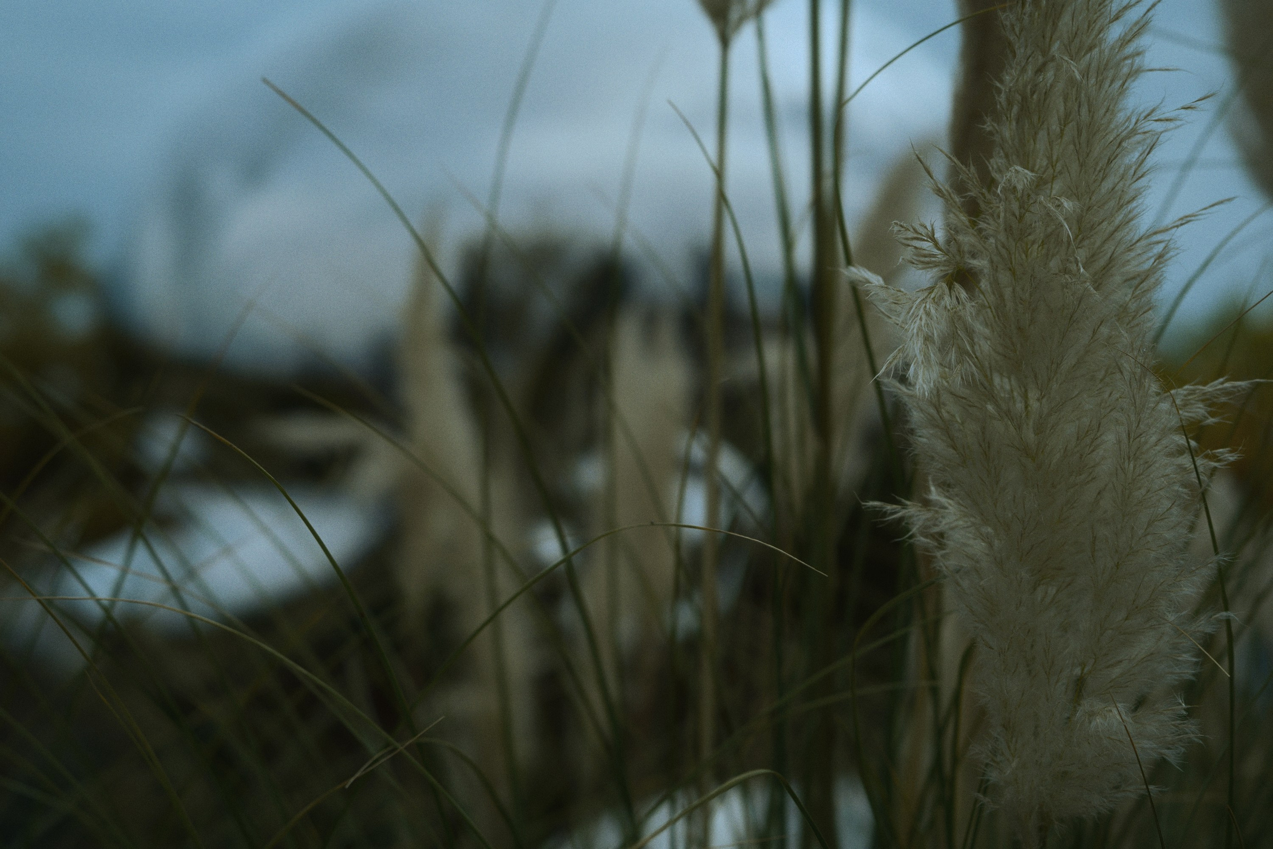 Inner child / cluster (day-a). Фотограф Юрин Евгений