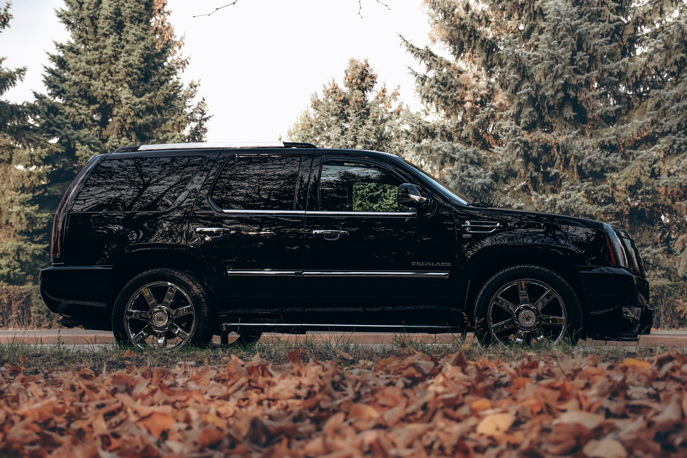 Фотограф в Алматы