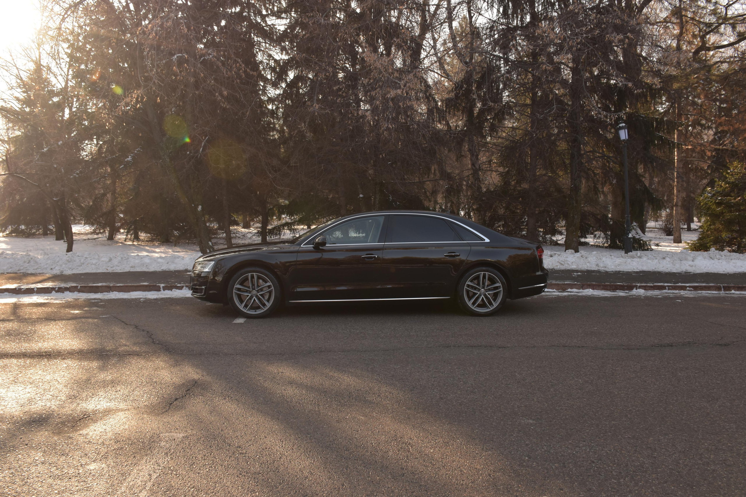 Фотограф в Алматы