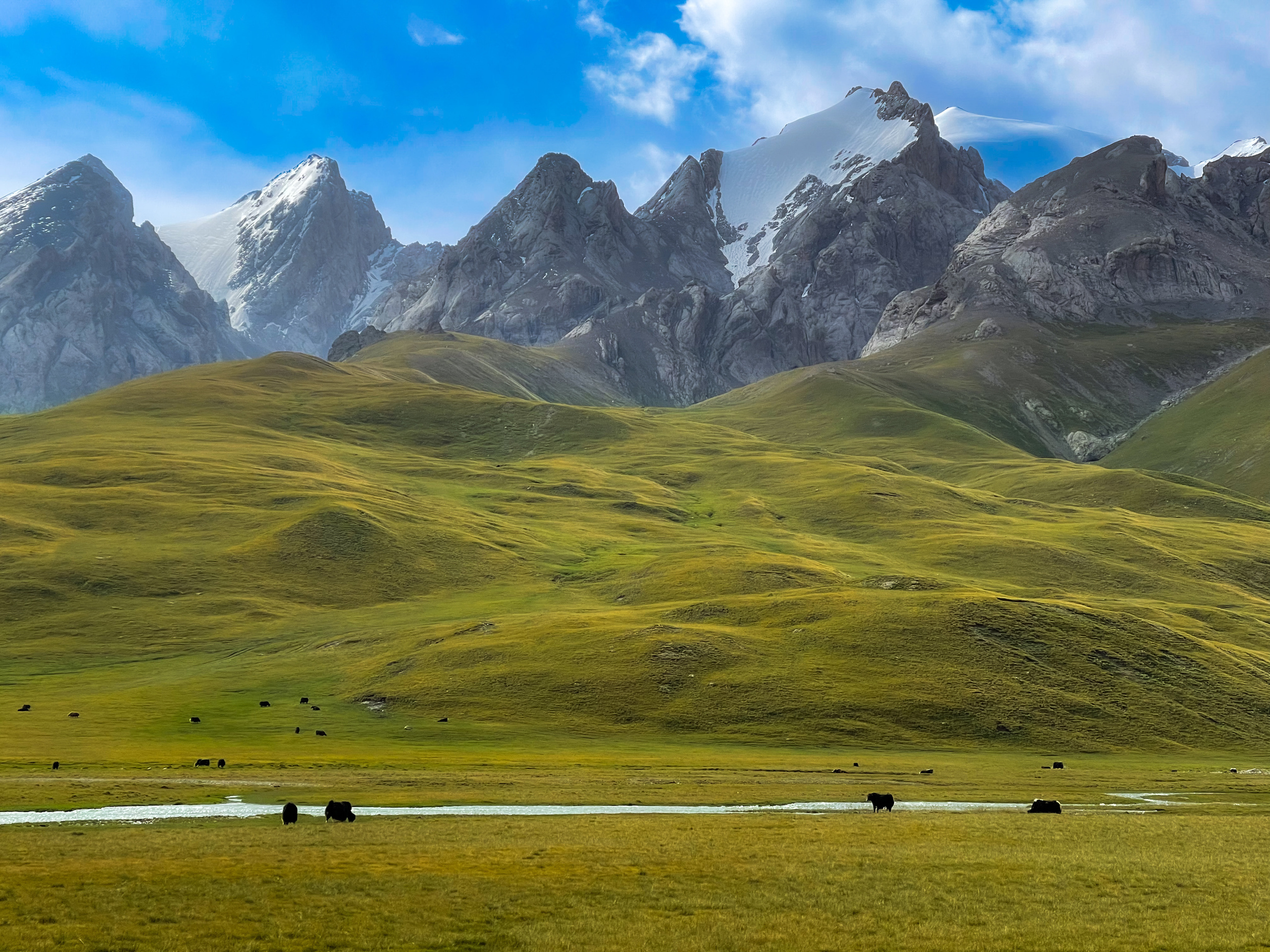 Фотограф в Алматы