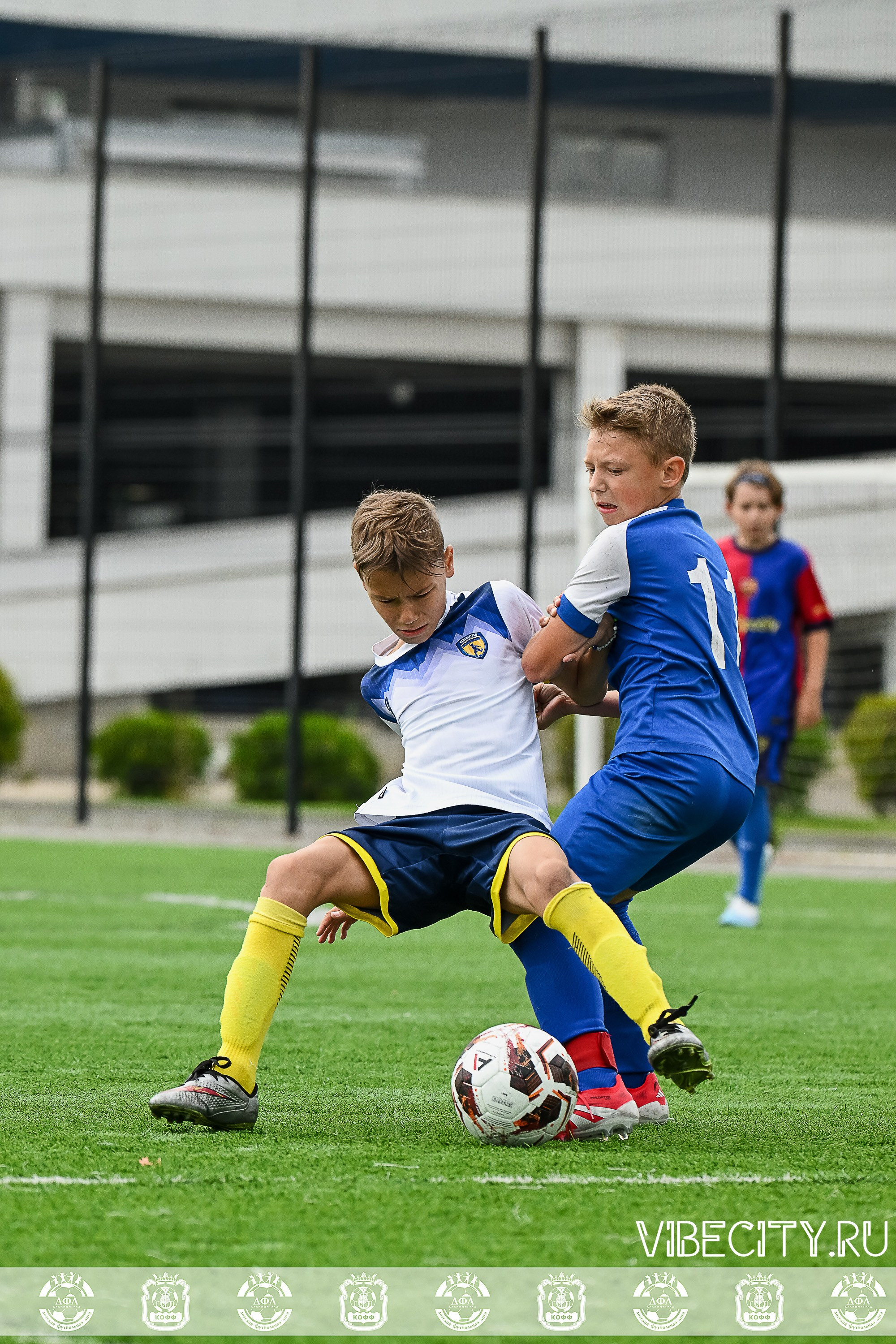 Калининградская Детская Футбольная Лига. VIBECITY.RU Вайб Сити Ру Фоторепортажи Фотоотчеты Калининград