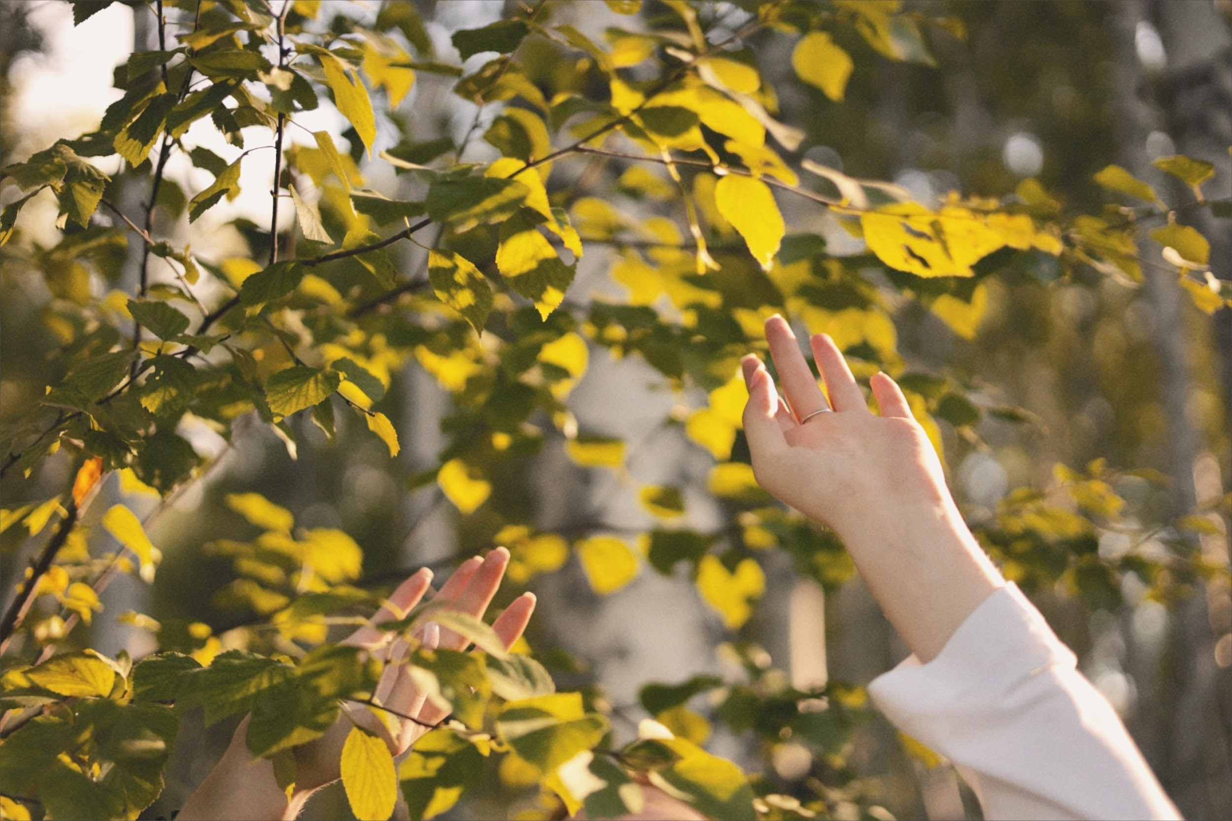 Фотограф Иркутск