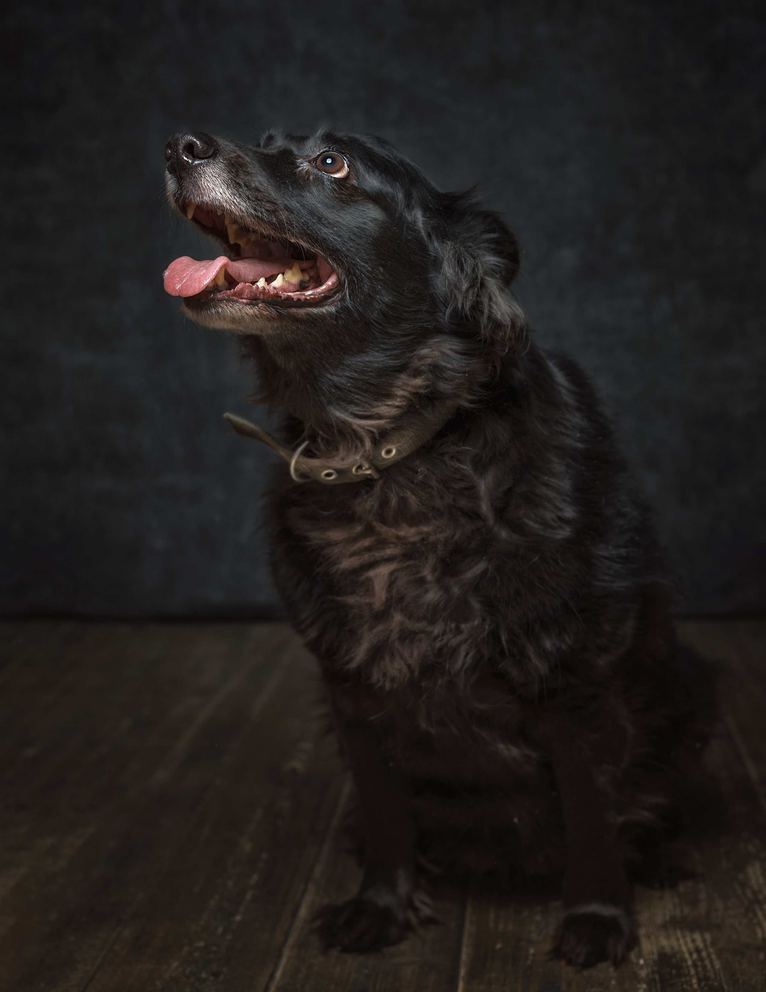 ДРУГ, НАЙДИСЬ. Антон Тимошевский, профессиональный портретный фотограф в Москве и Орле