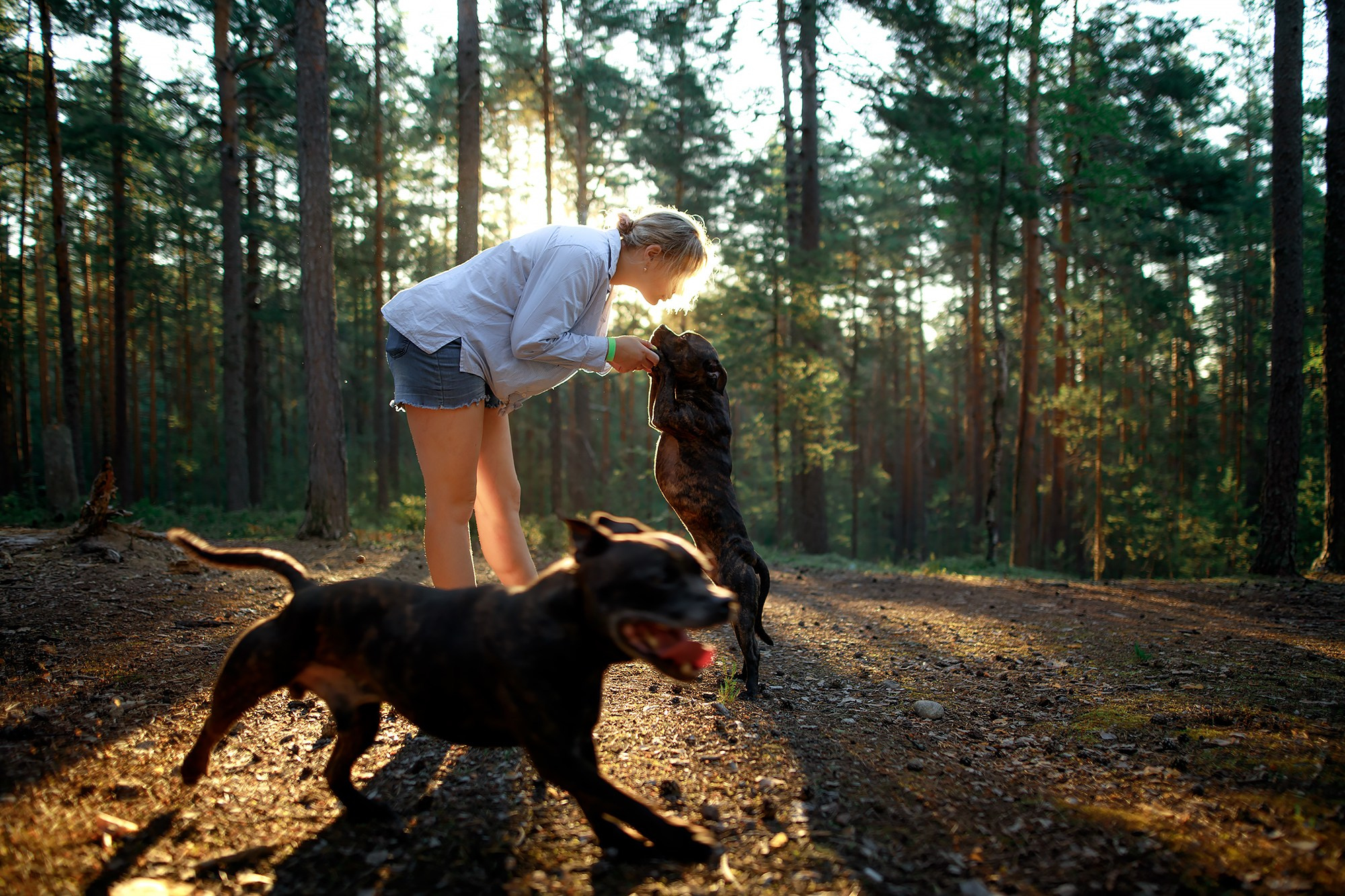 Фотограф-анималист Mary Mart — Москва, Питер
