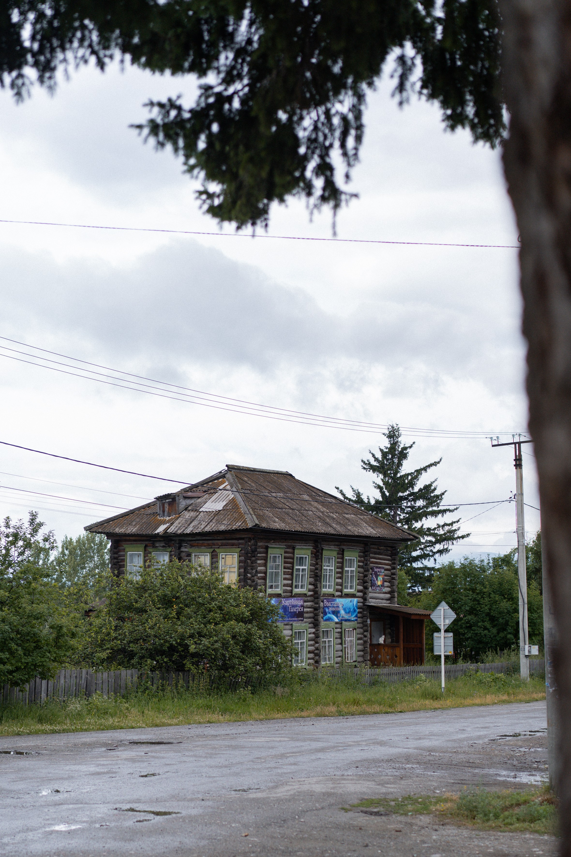 Алтай 2025. Лиза Фирстова