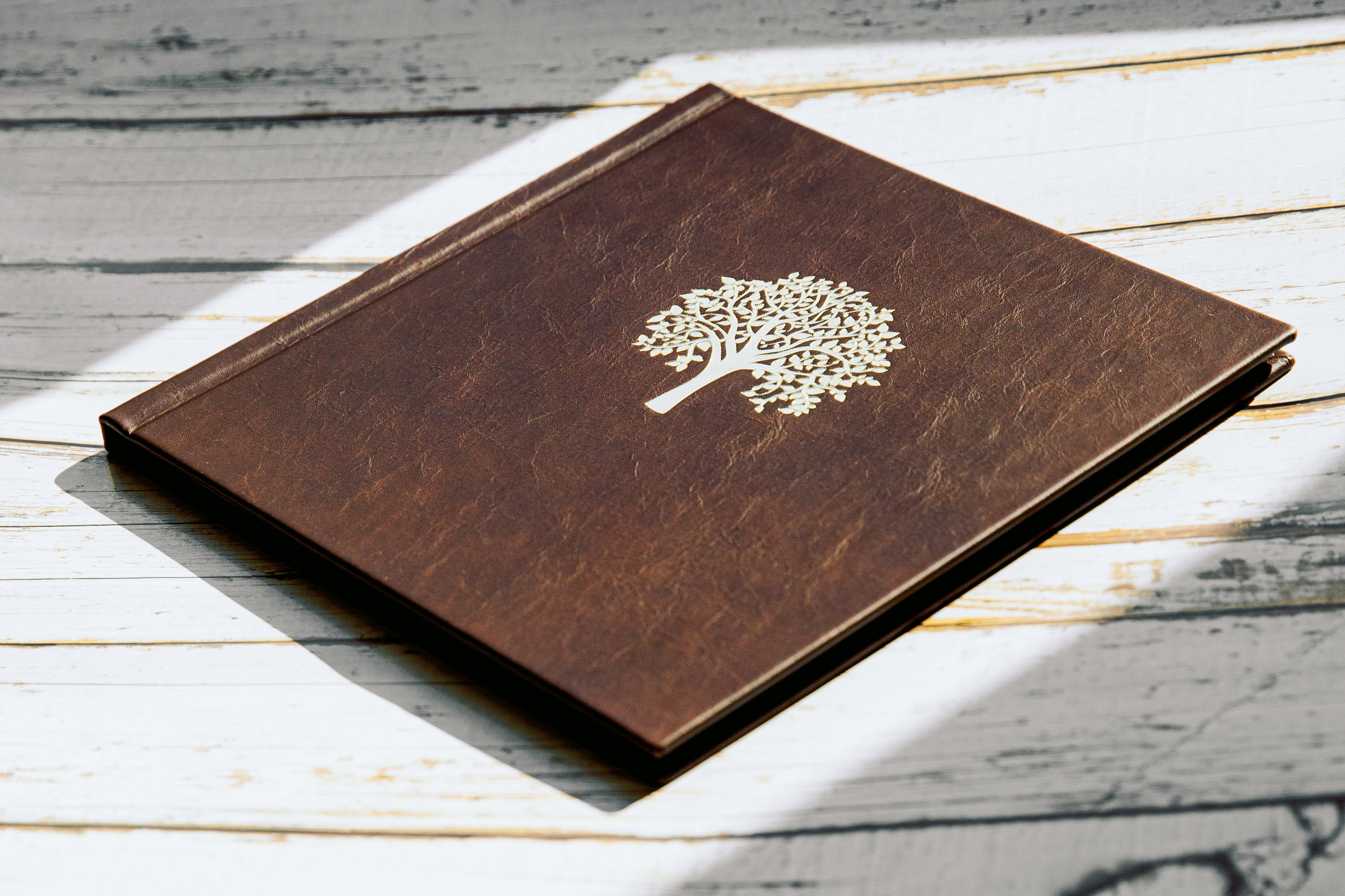 Родовая фотокнига. Семейный и детский фотограф в Москве Тихонова Ксения