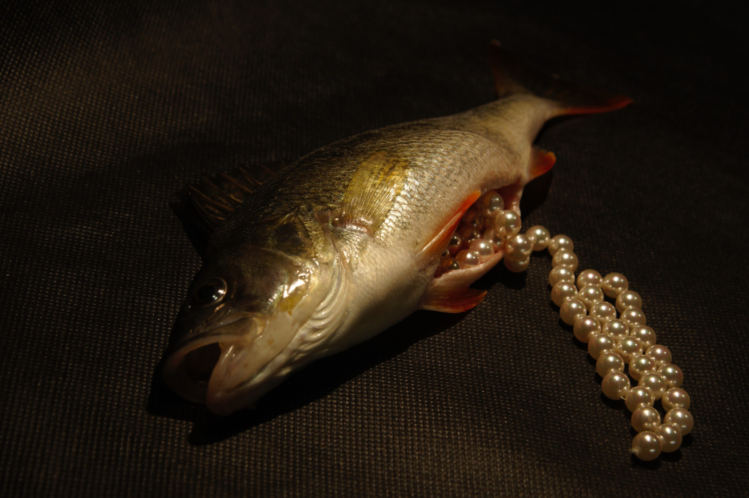 Курс «С нуля»