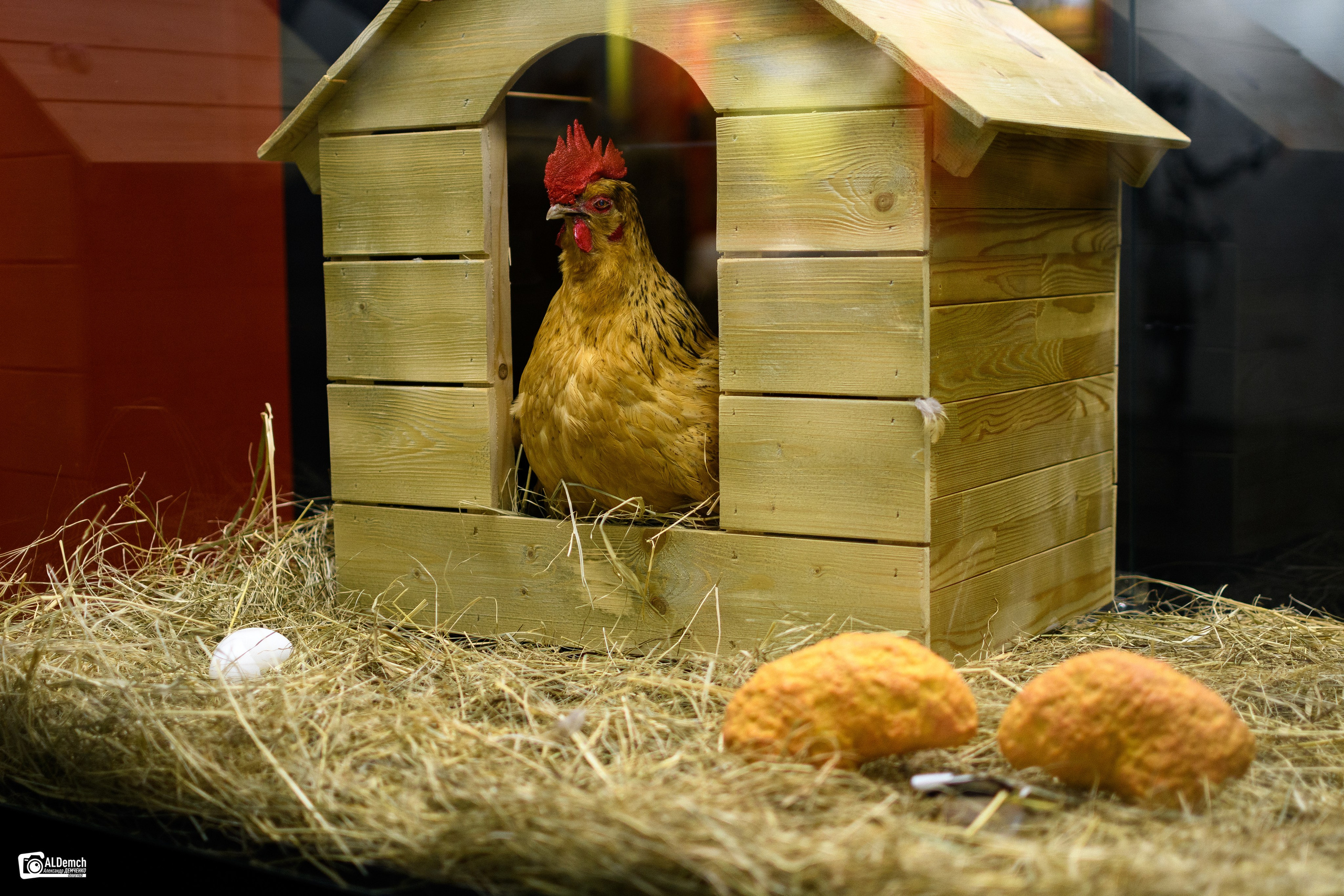 Фото с выставки «Найти Бэнкси» в Москве