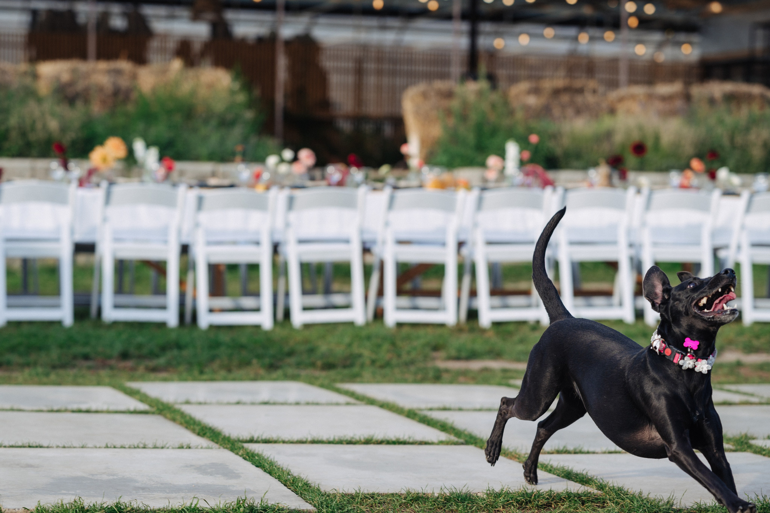 Эдуардо и Люси, свадебная фотосессия. Фотограф в Алматы — Алексей Коньков | Репортаж, свадьбы, портреты