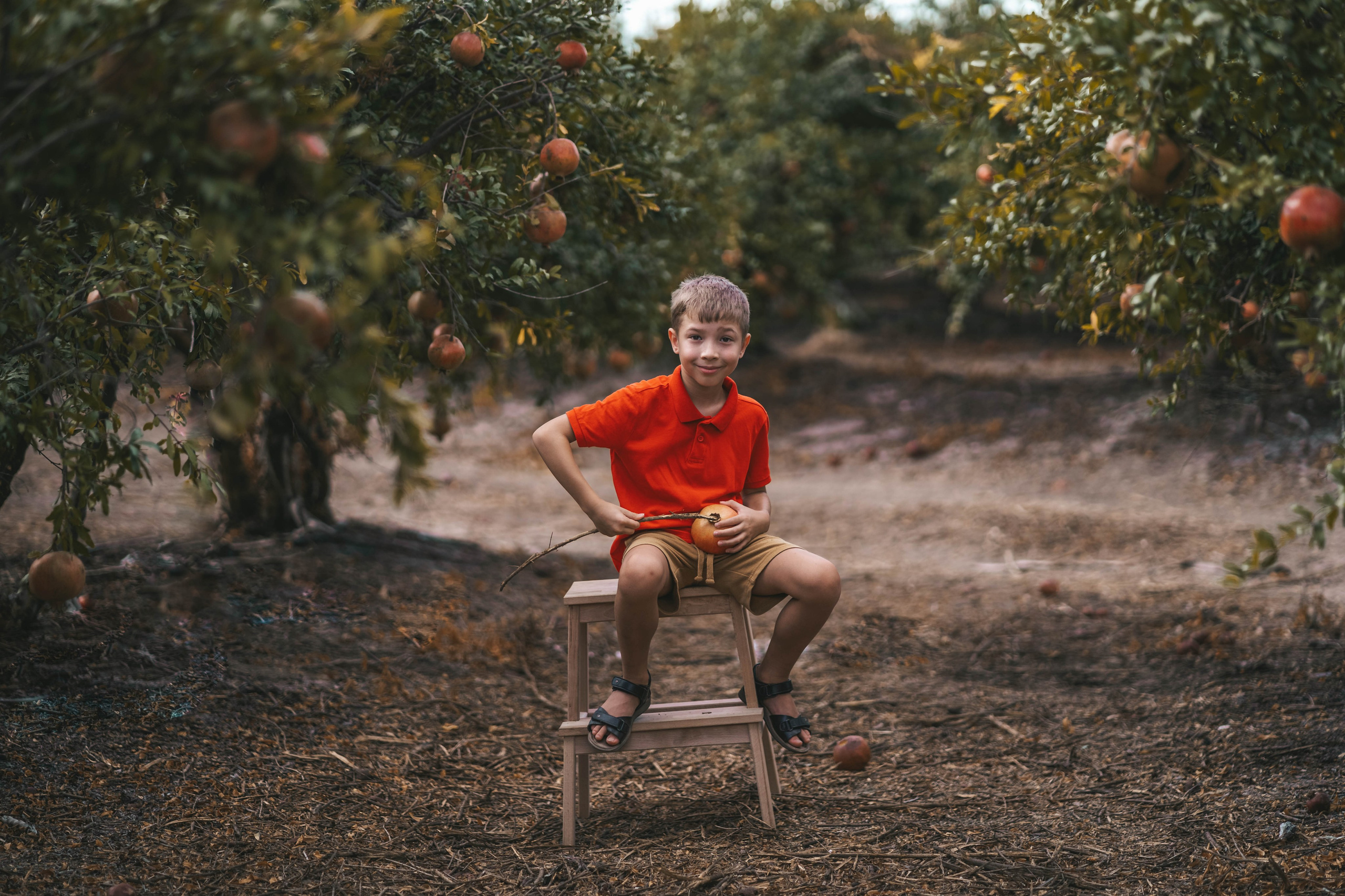 Гранатовый сад. Семейный и детский фотограф в Израиле и Москве Дорошок Надя