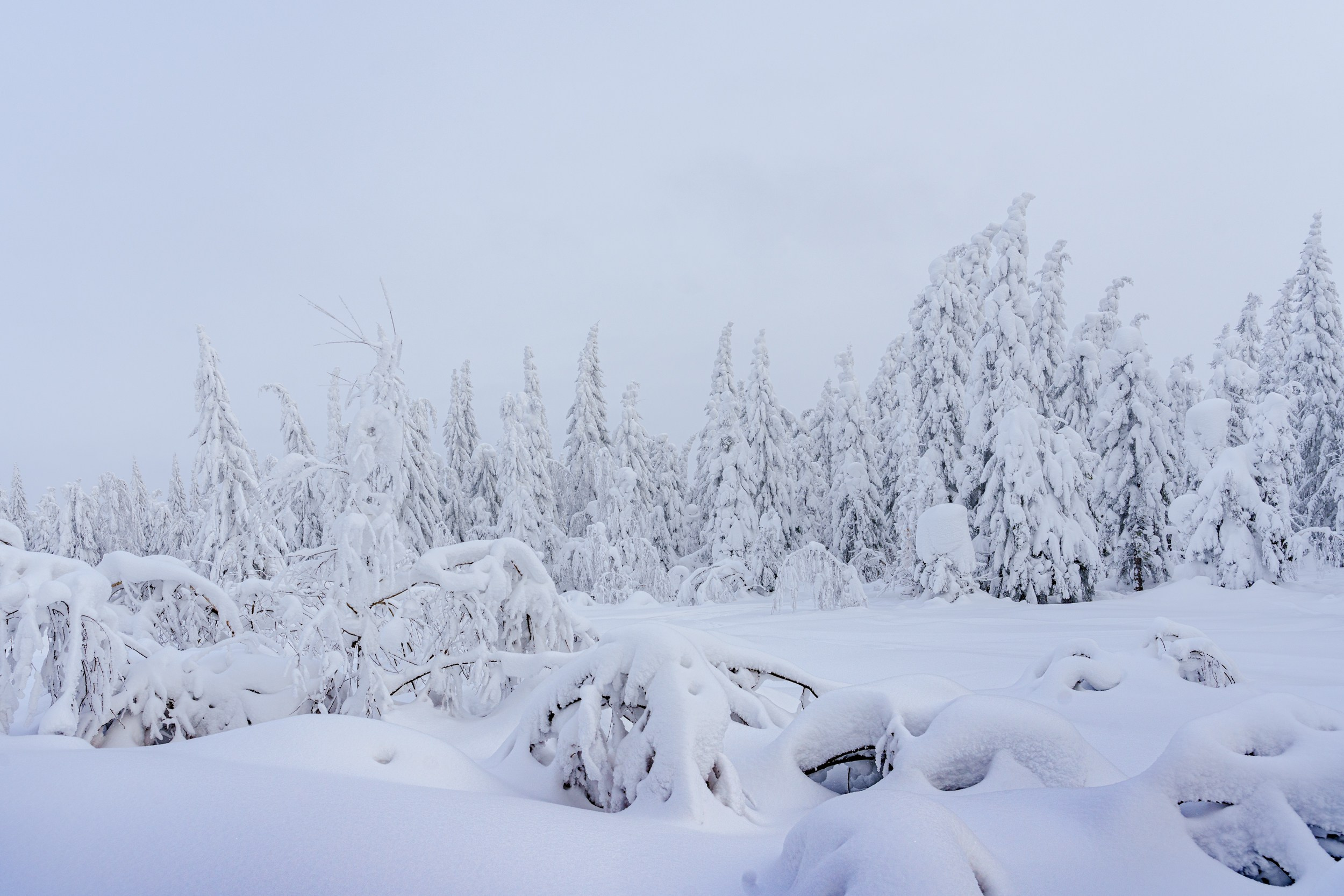 Зимняя сказка Пермского края