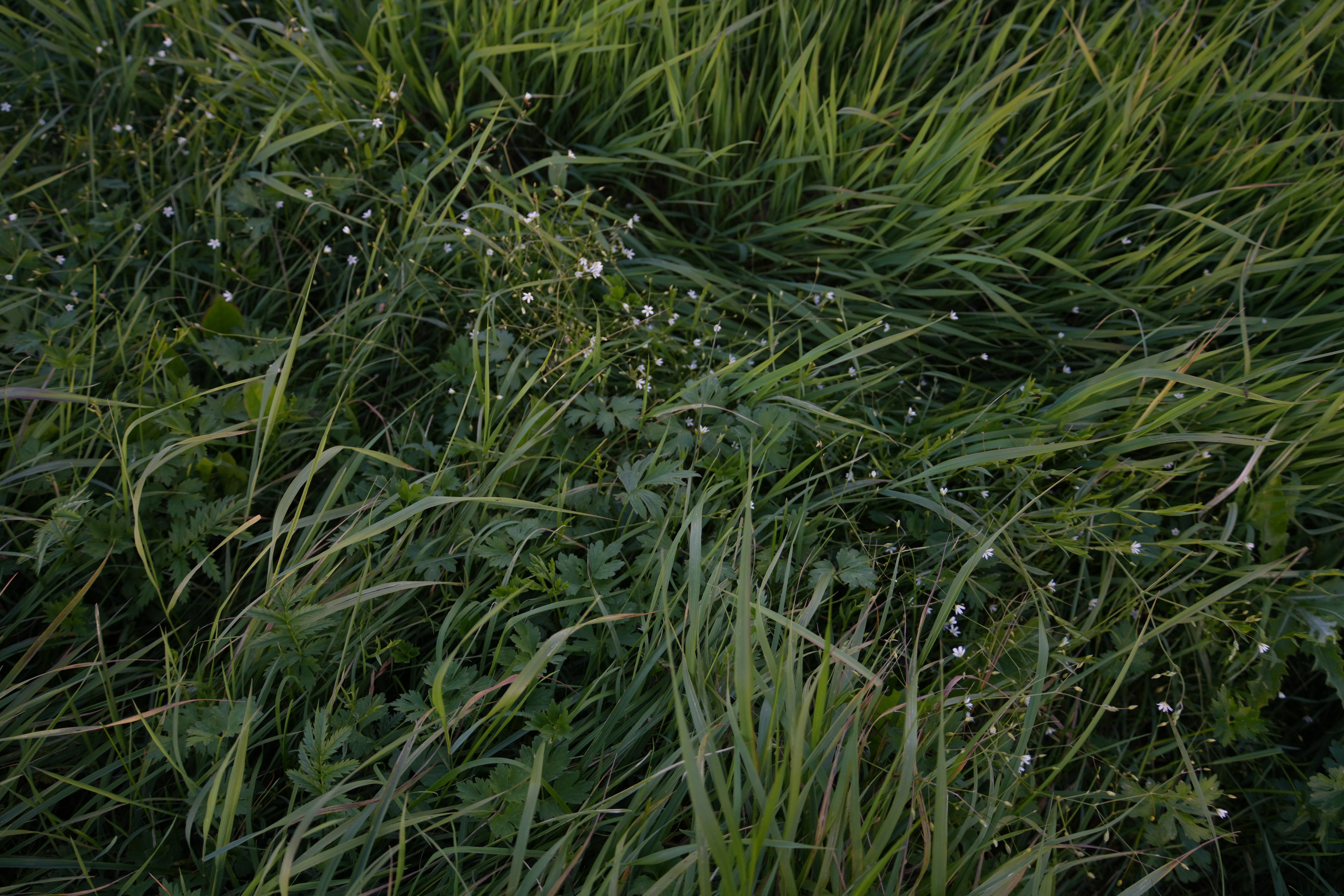 #backstage со съёмок команды в загородном доме. Портретный фотограф в Санкт-Петербурге Дмитриева Наталия