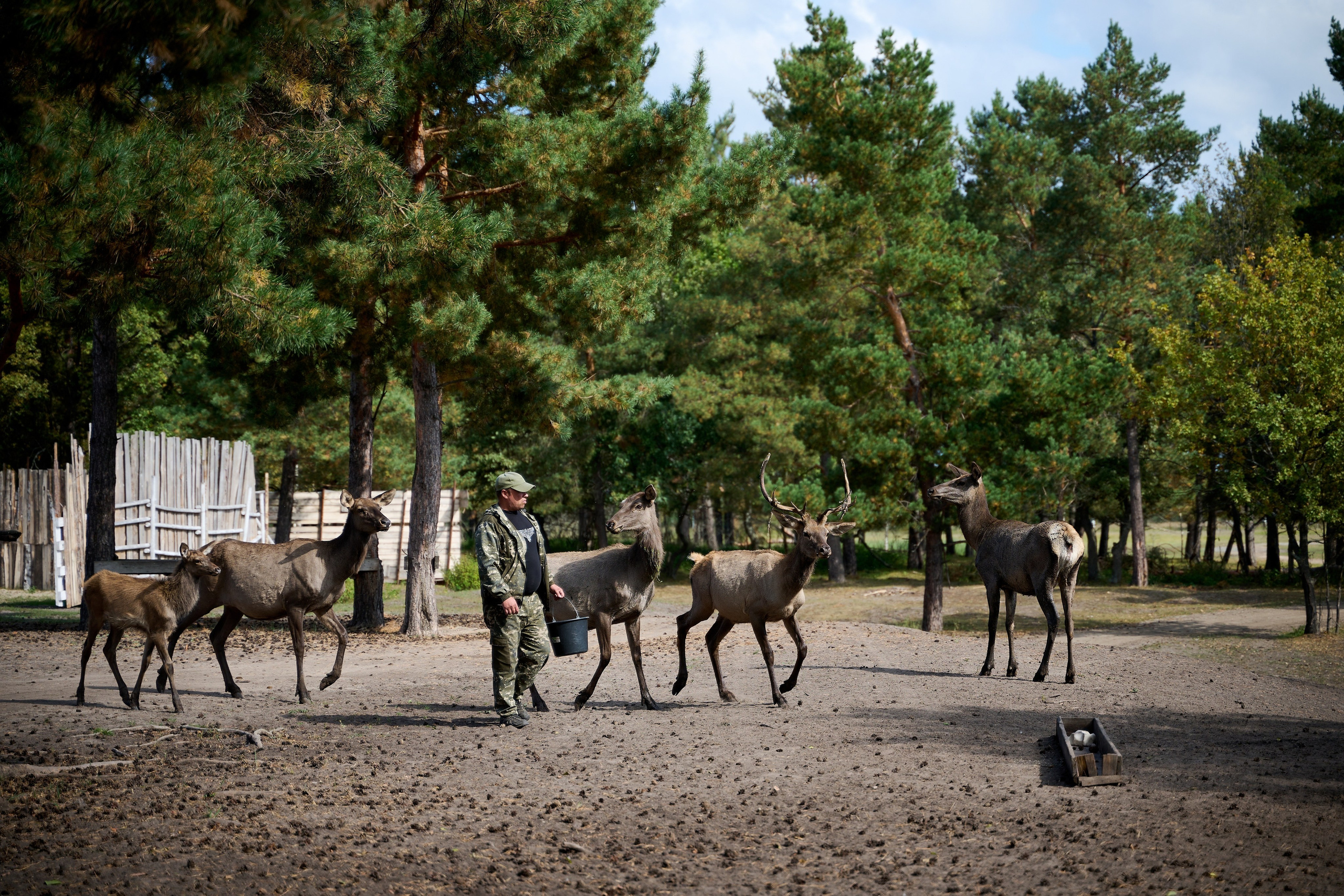 Кречет. Фотосъемка мероприятий