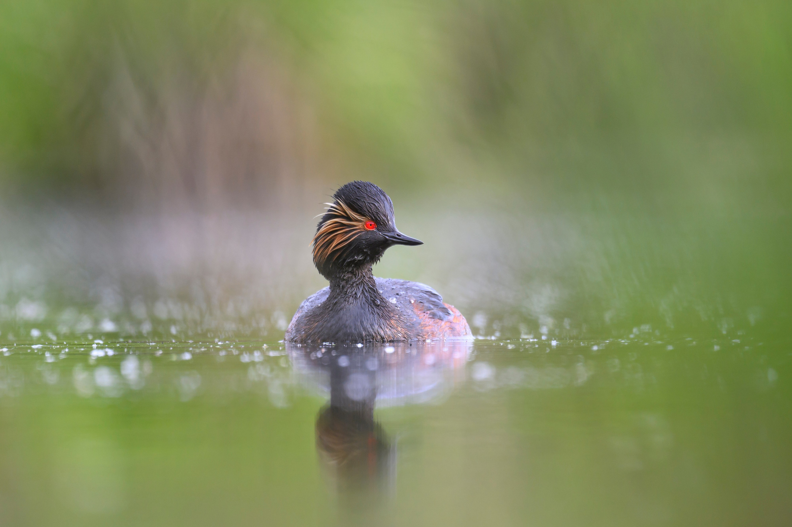 Мягкий свет. Фотограф Сергей Пупонин